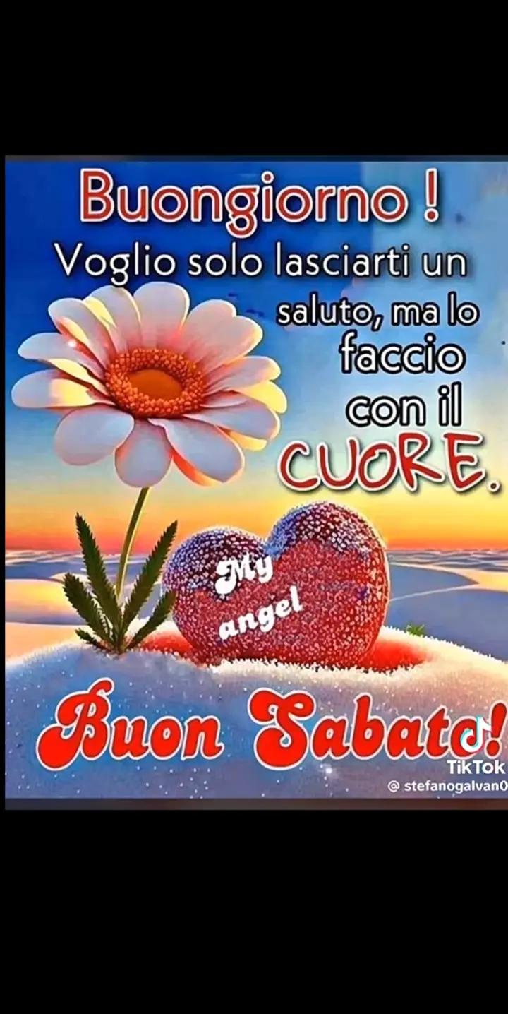 @maria grazia bersanetti