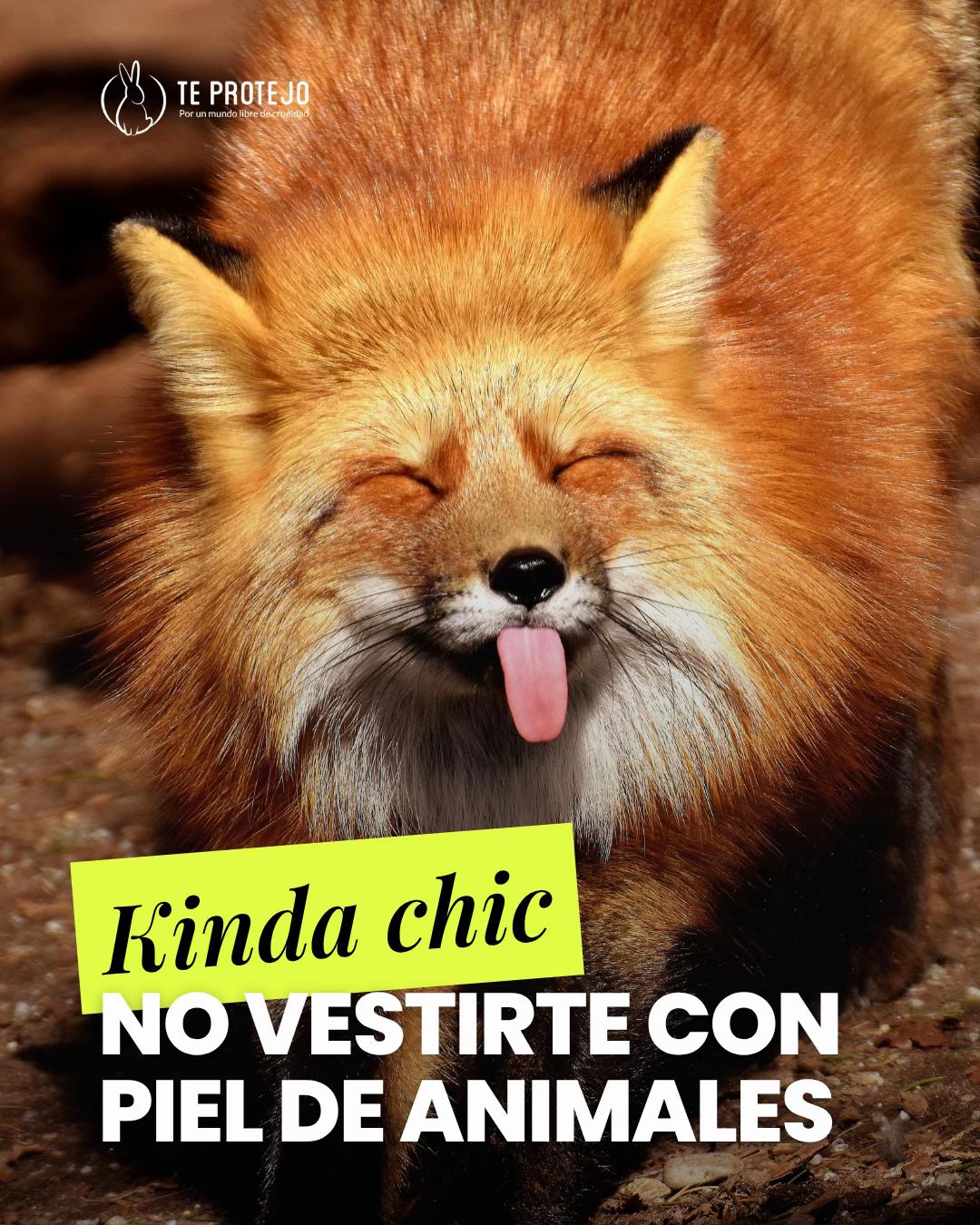 @Te Protejo