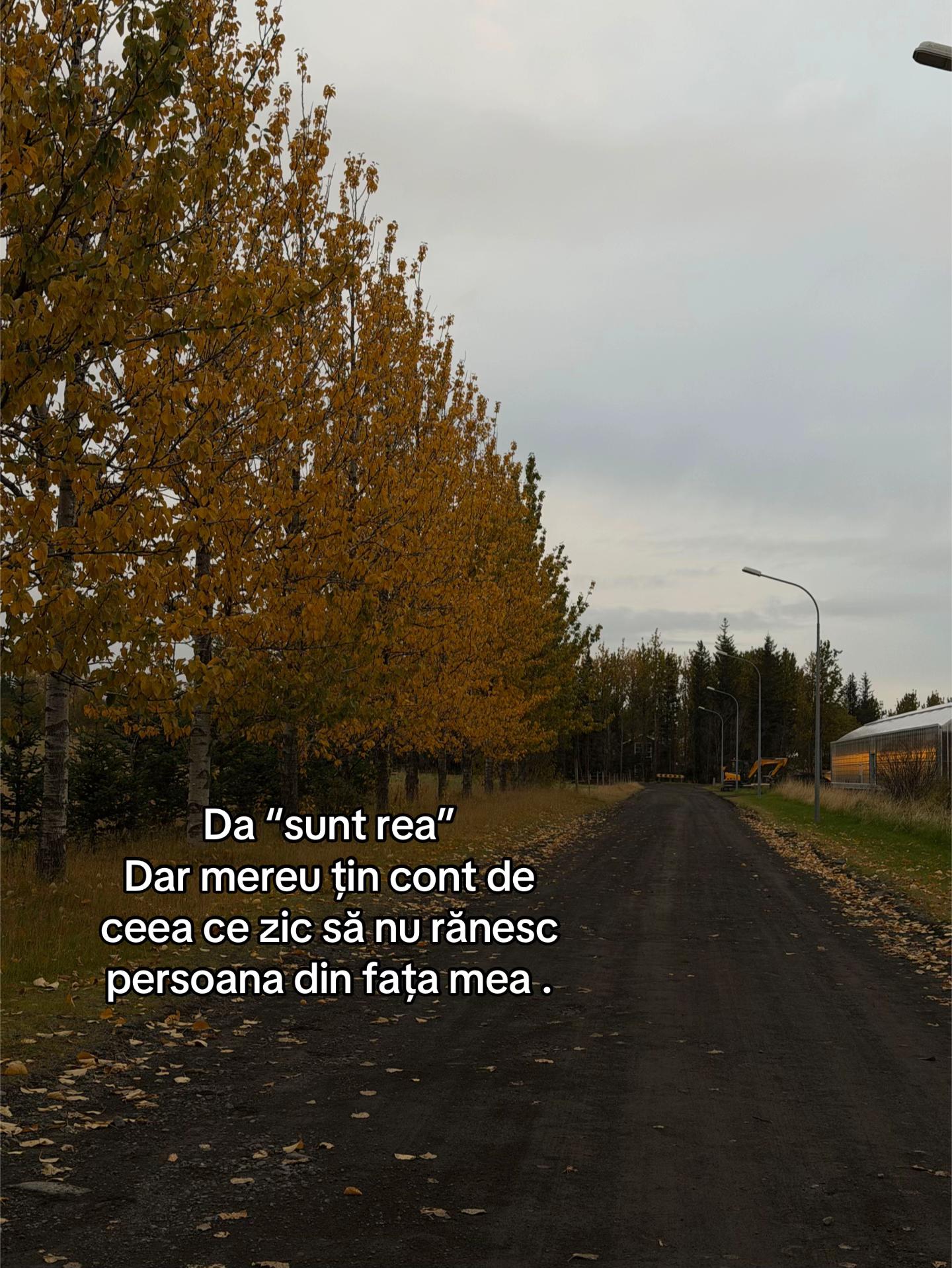 @Tereza