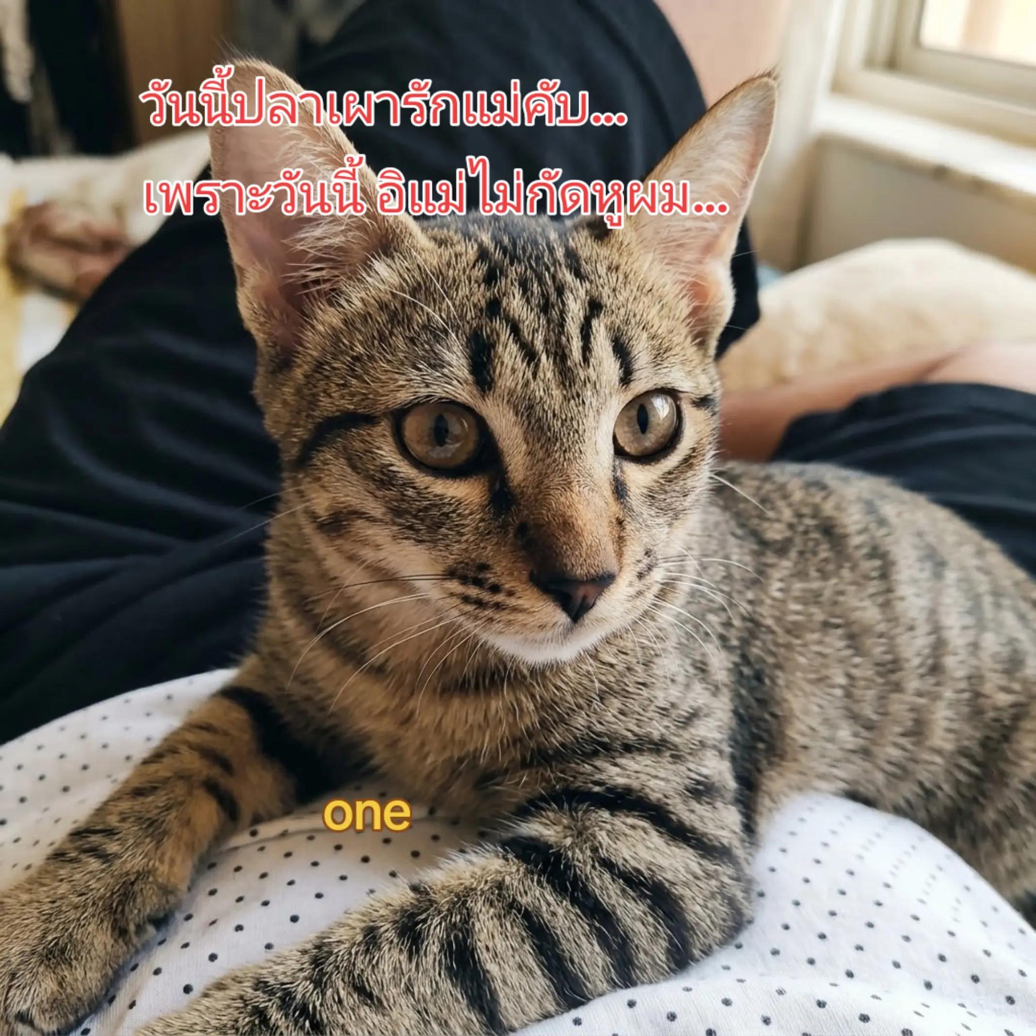@one
