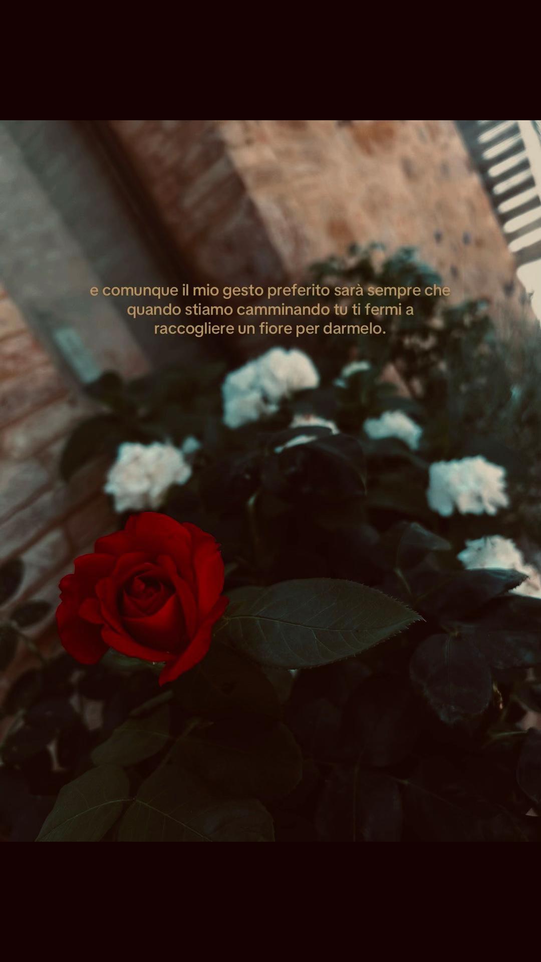 @giu