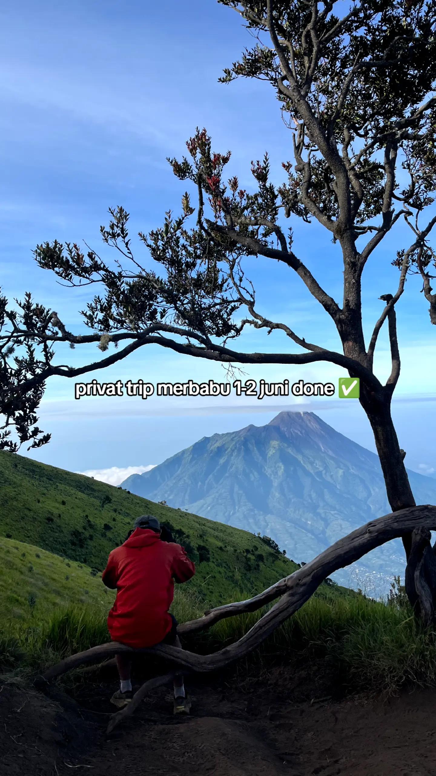 @Latin Indonesia