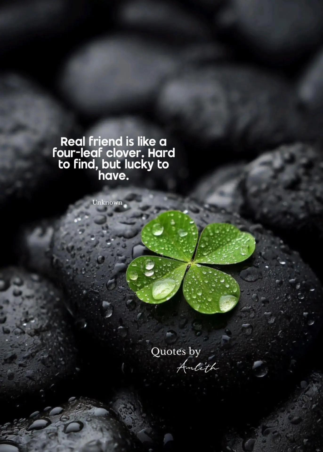 @kashmeri rumpa