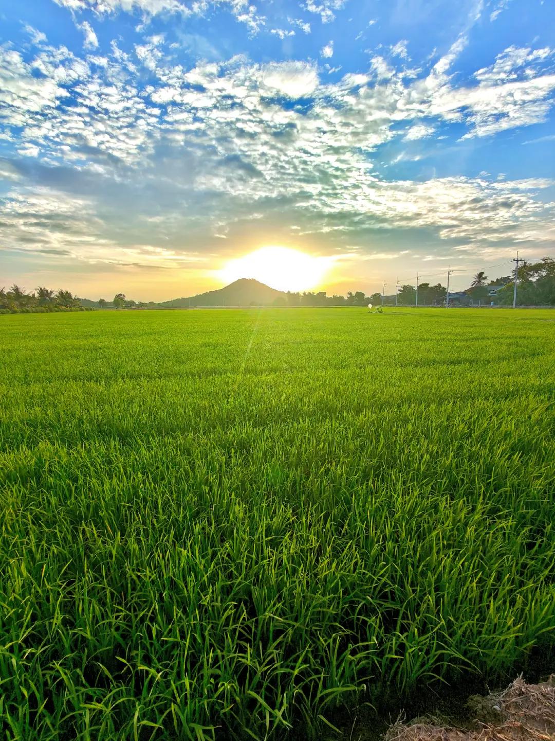 @ธัญมน🌾