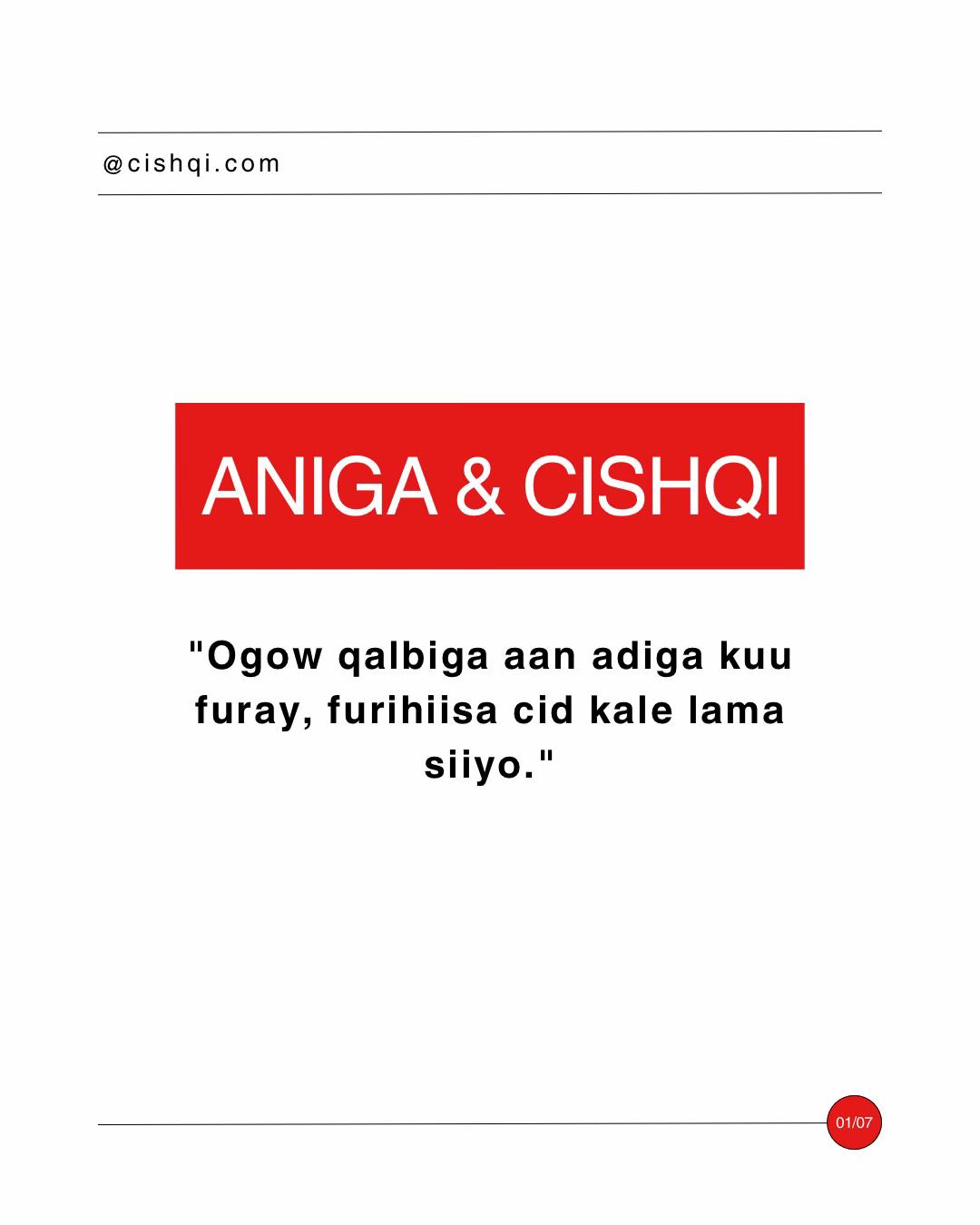 @CISHQI