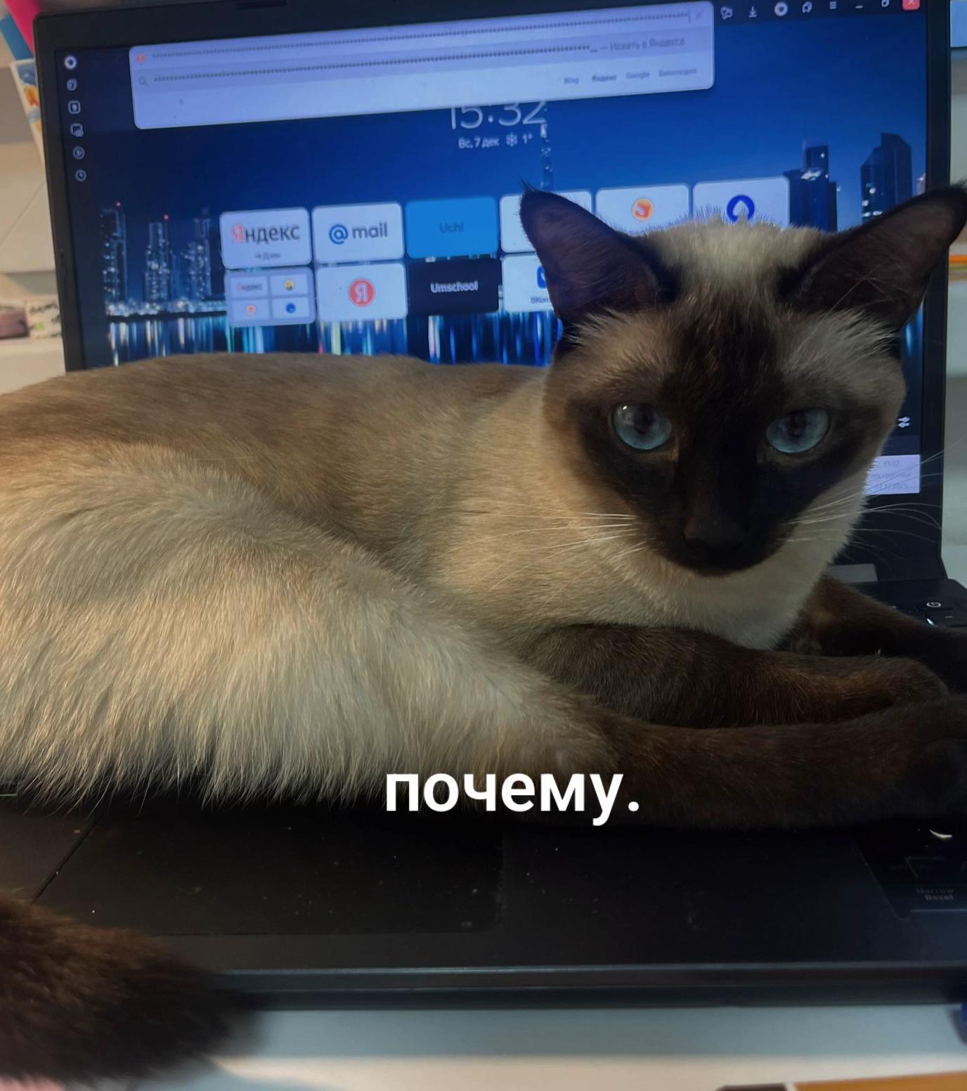 @traava ༒