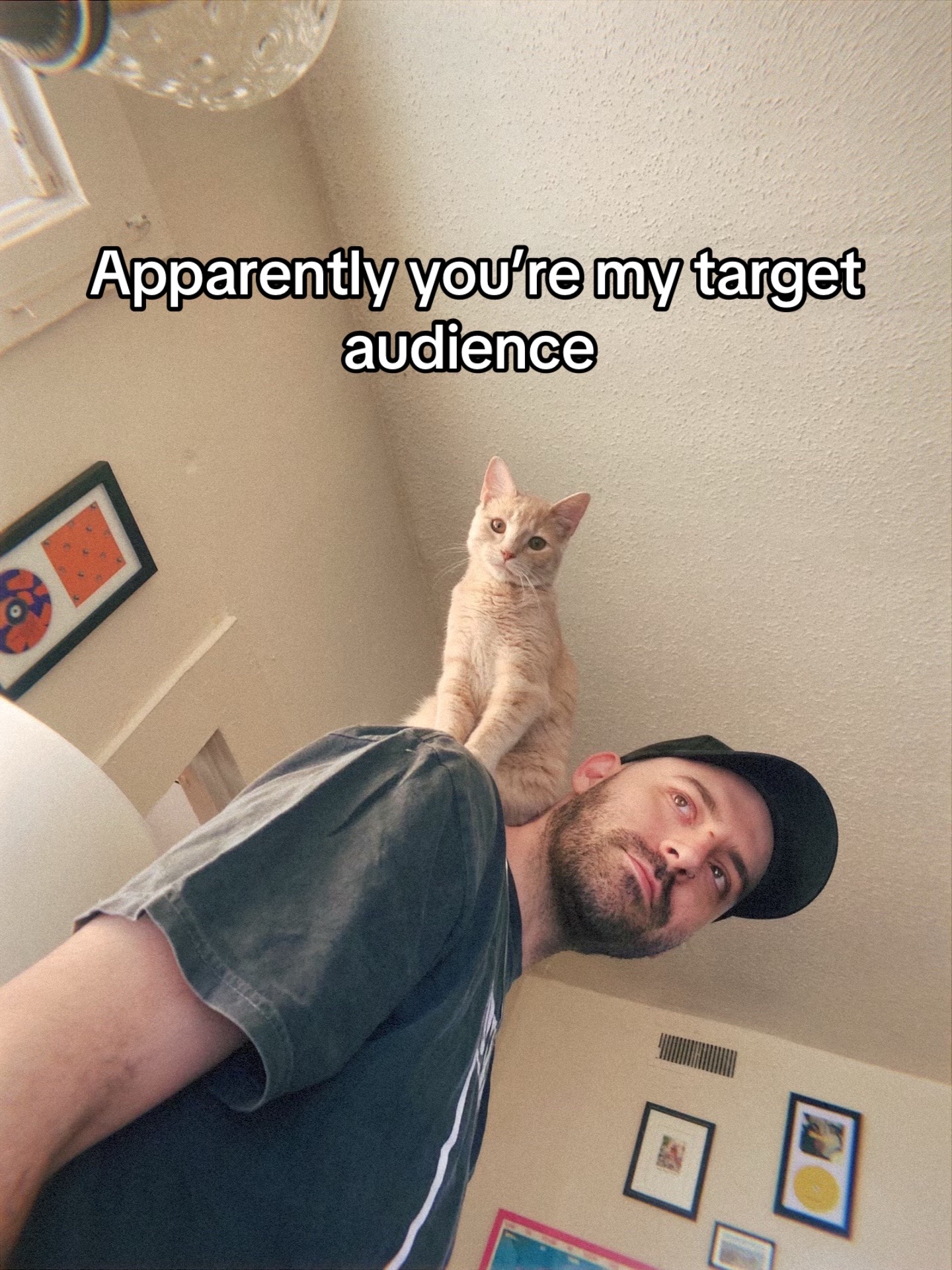 @shxde