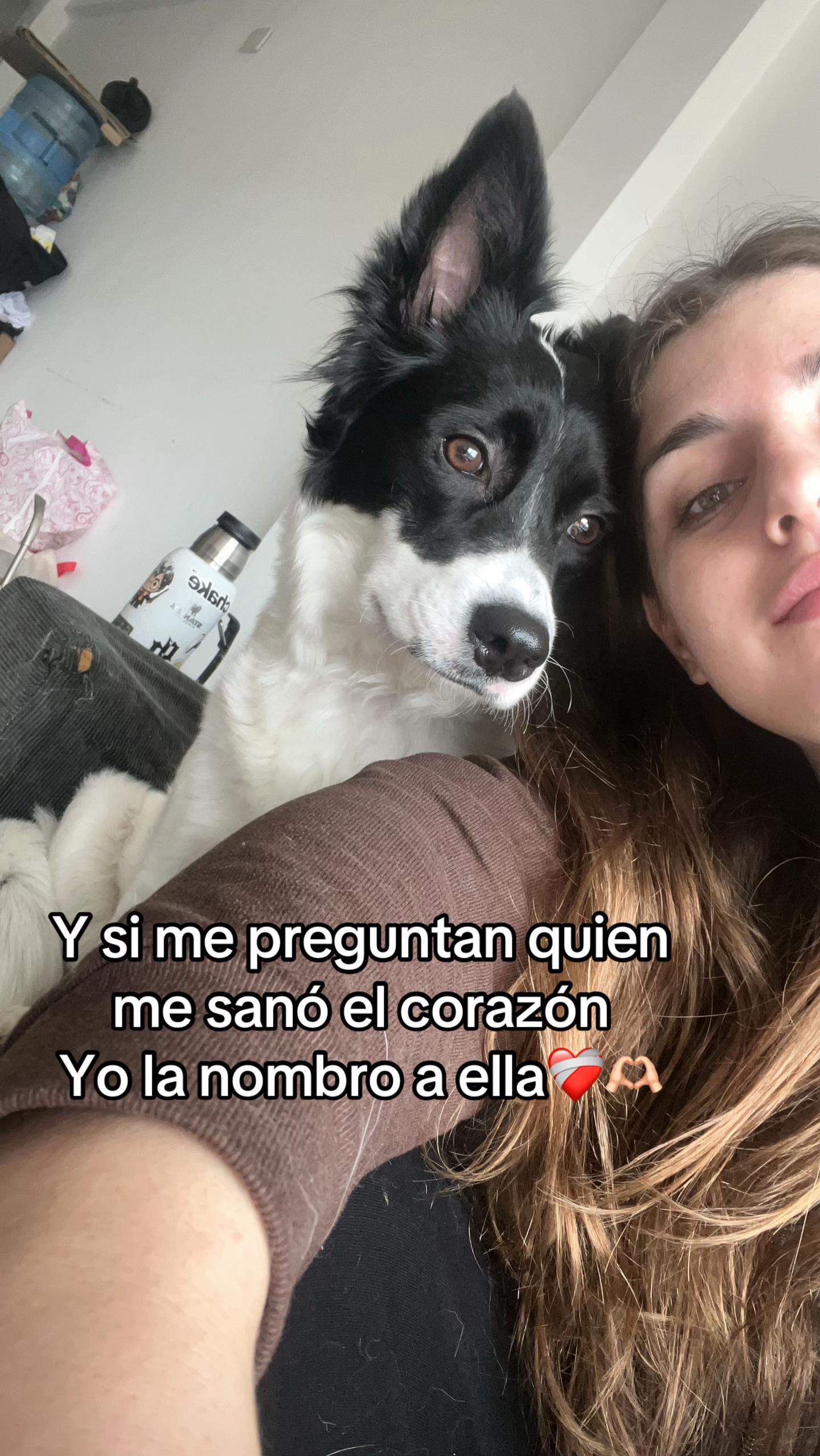 @Milu Bevacqua