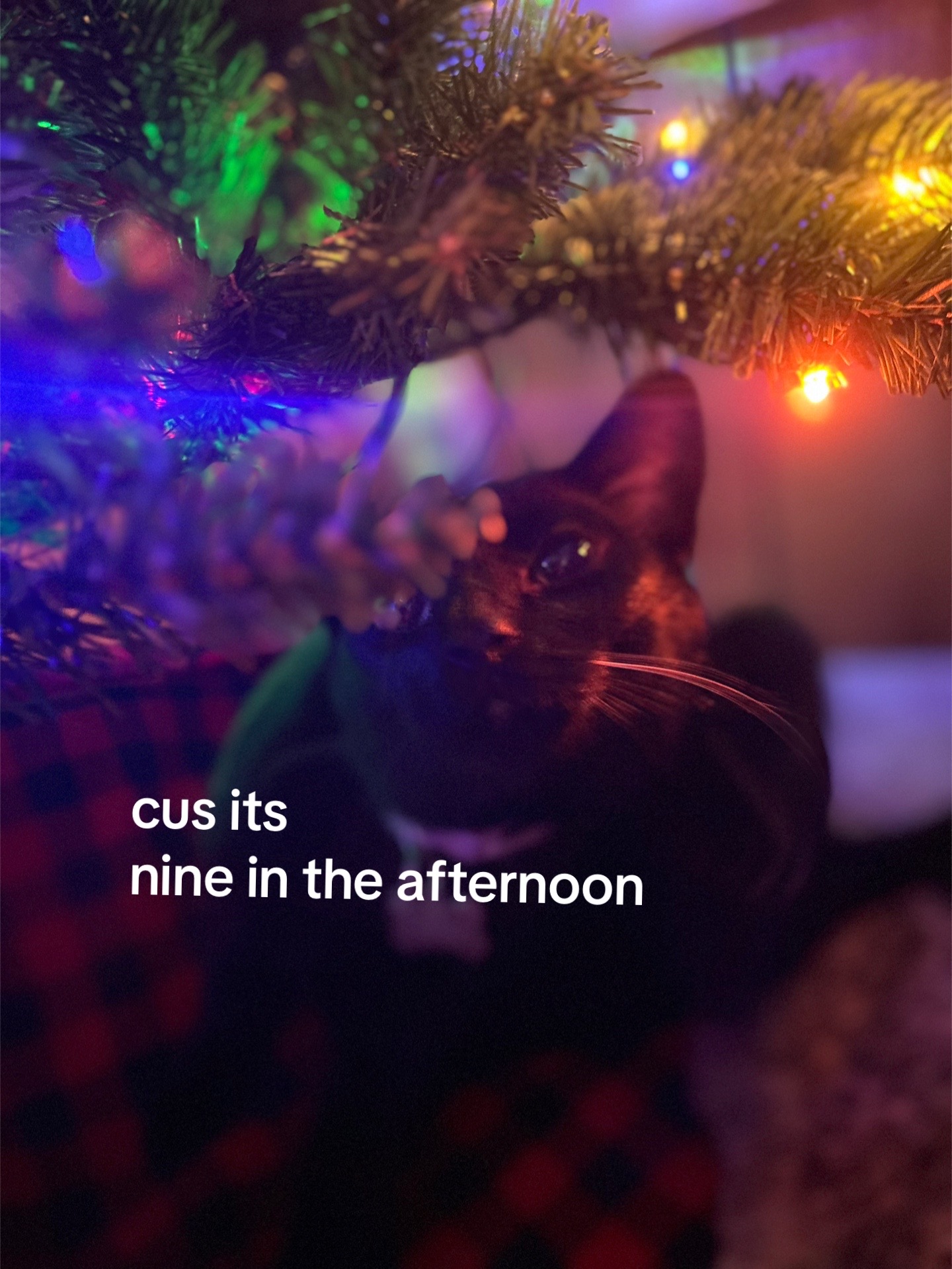 @brin