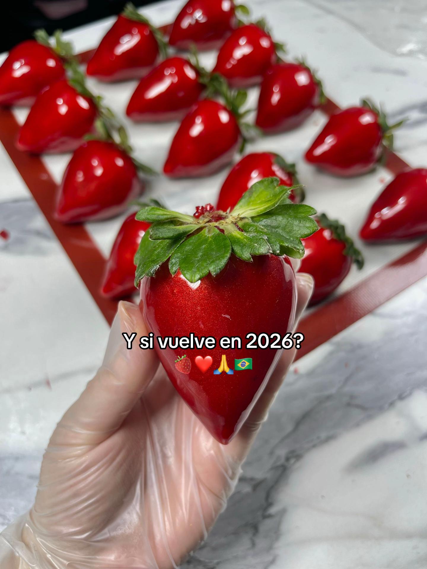 @Carina Lovera Repostera G