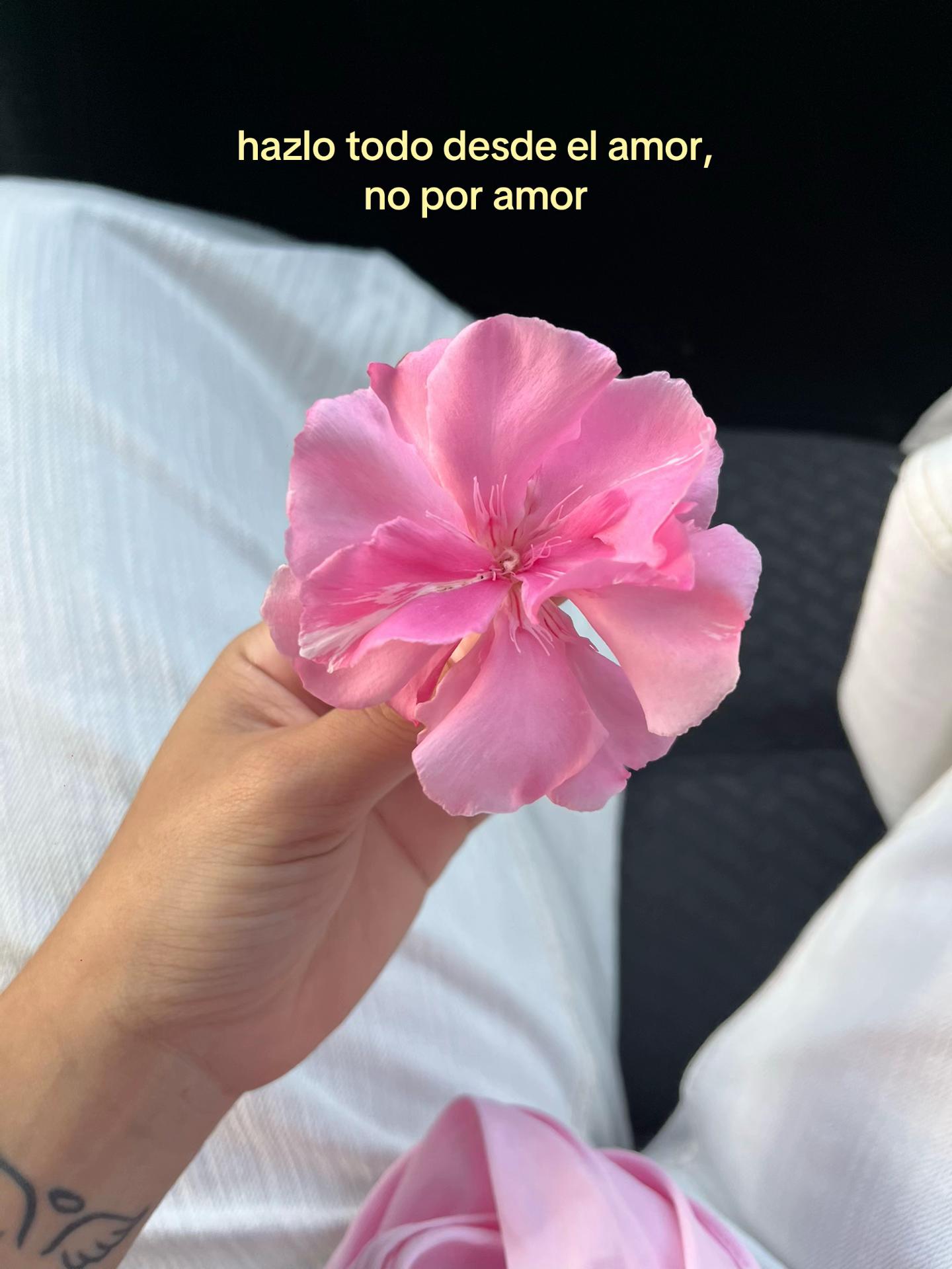 @Karla