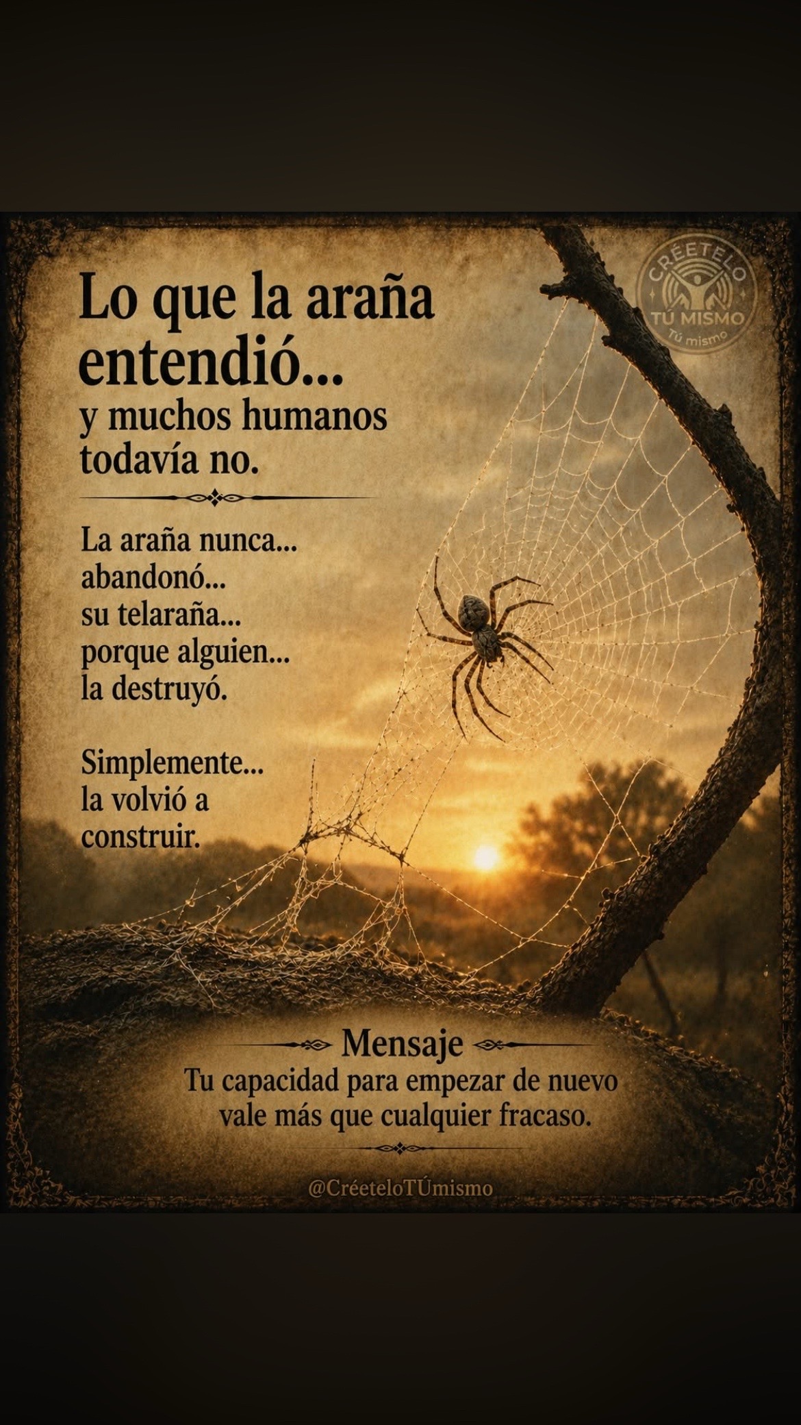 @Pedro Cruz
