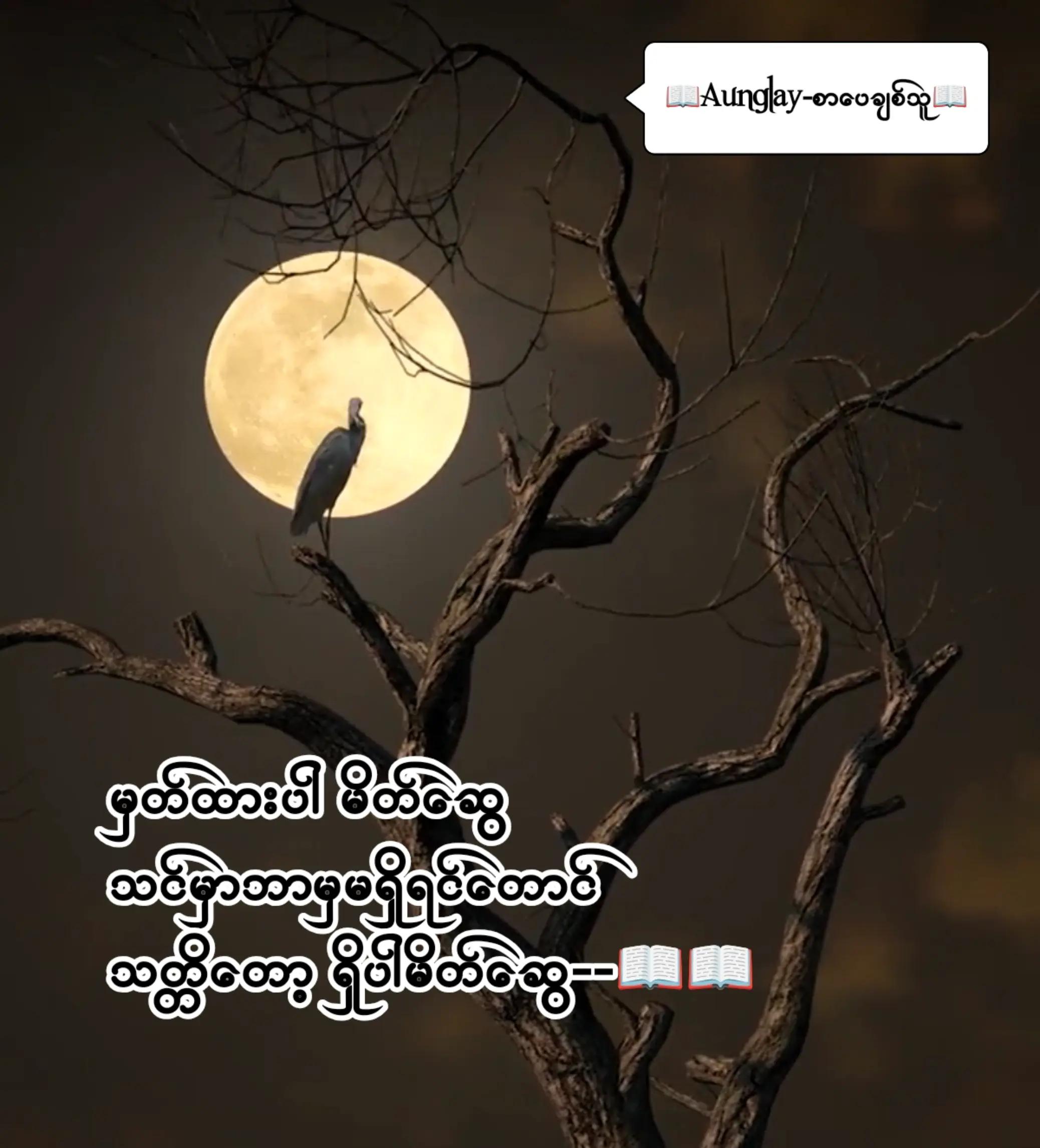 @📖Aunglay-စာပေချစ်သူ📖