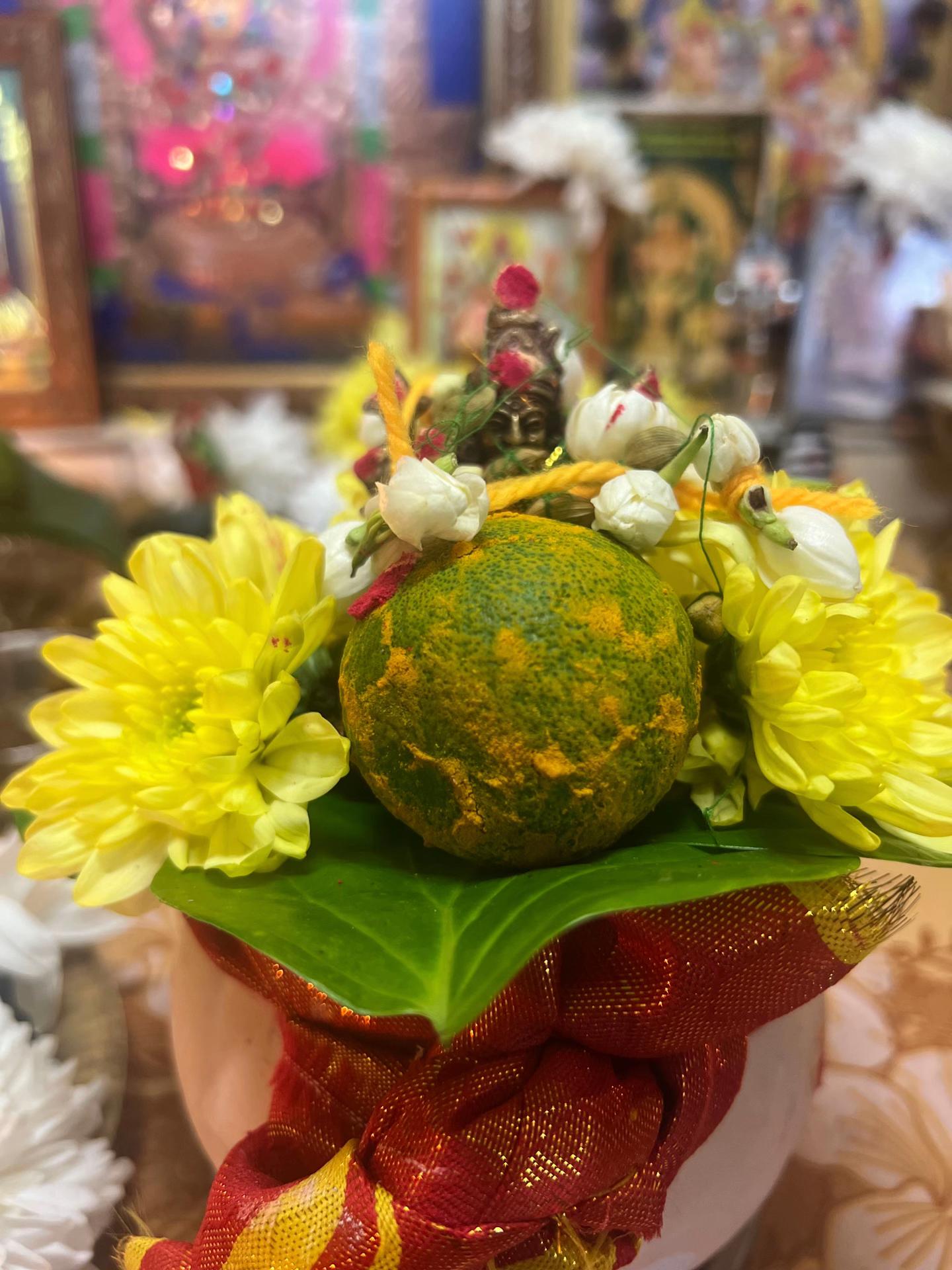 @மலர் 🦋✨