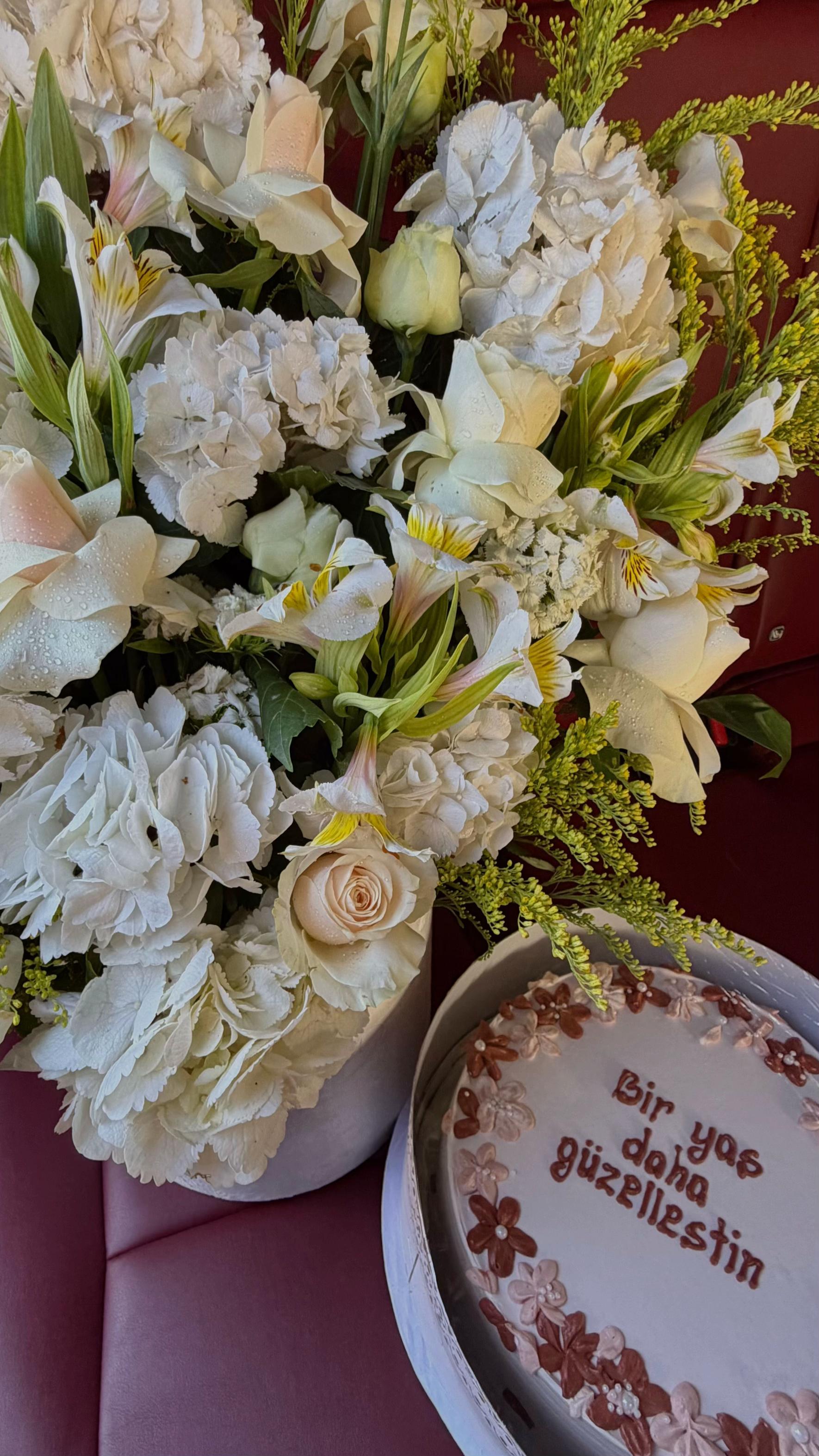 @𝒊𝒏𝒄𝒊