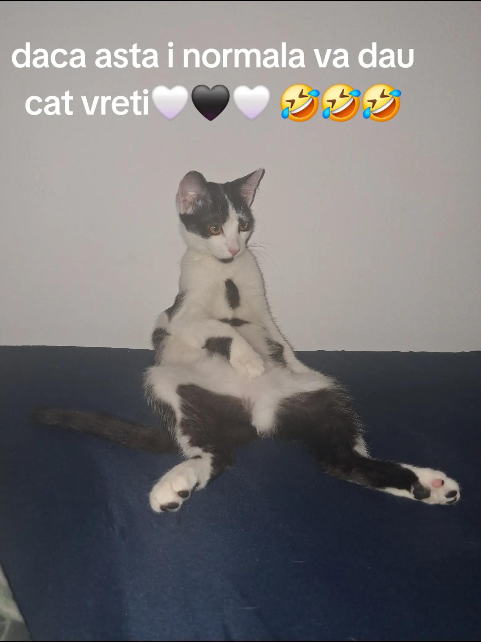 @giovannigiova