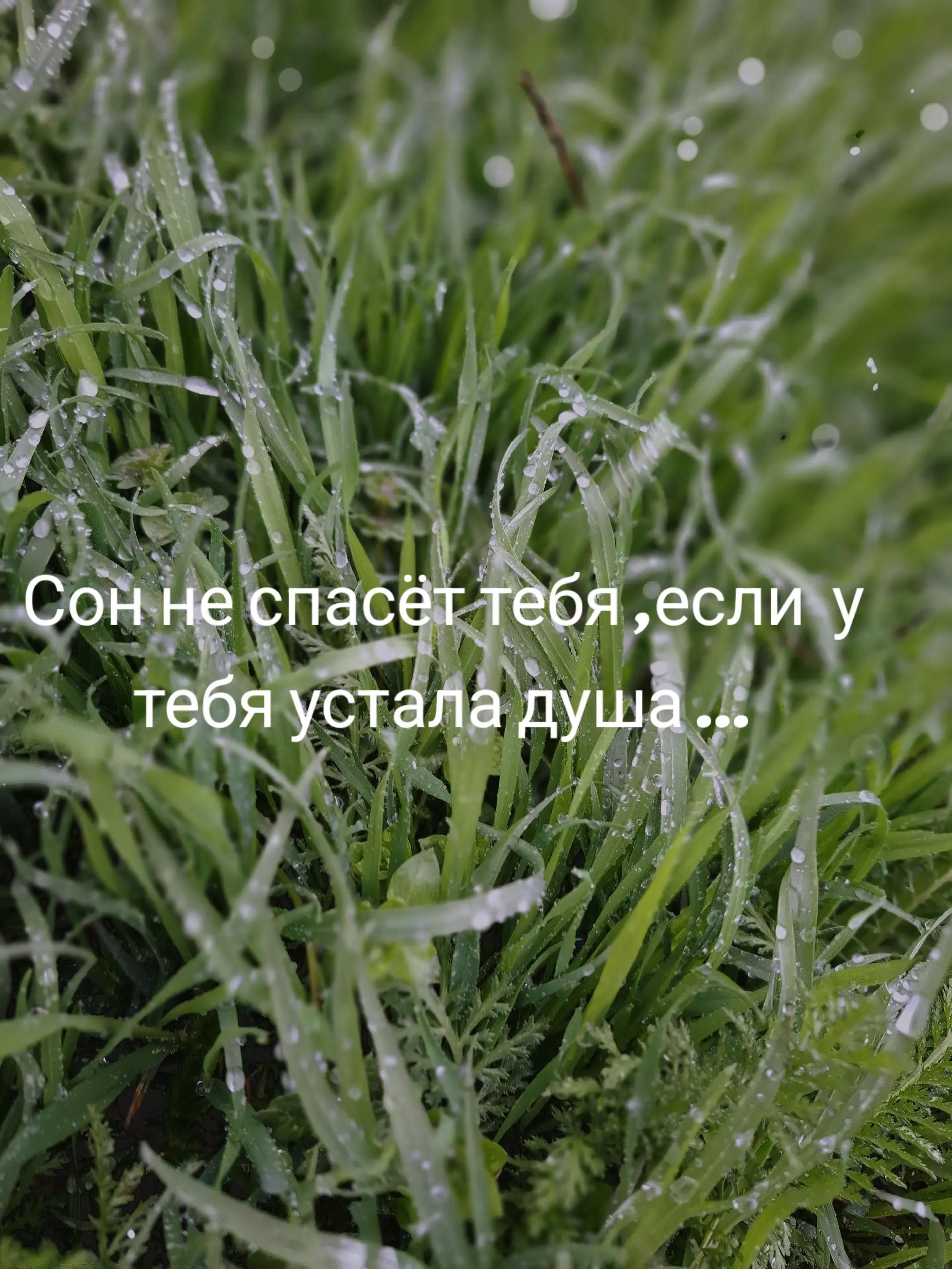 @Алина