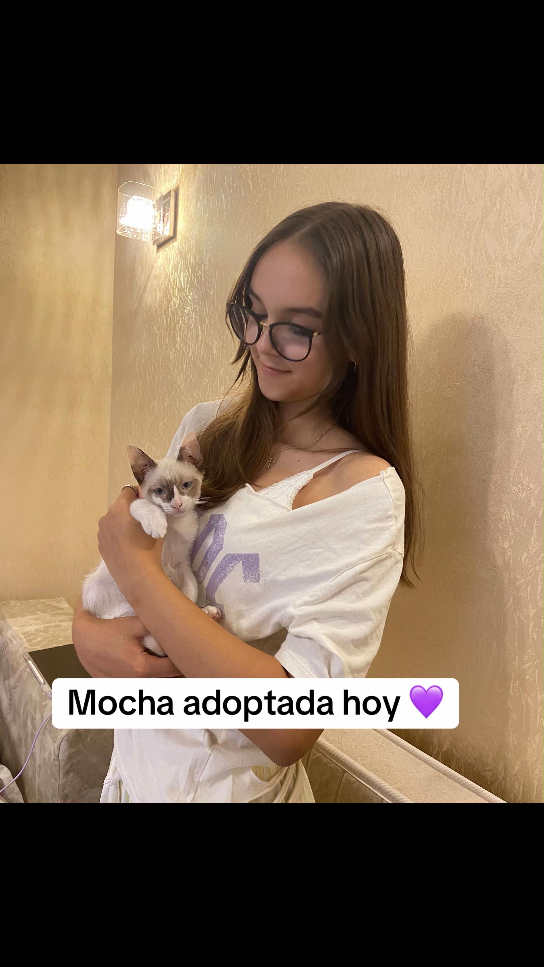 @aguiproan_protectora