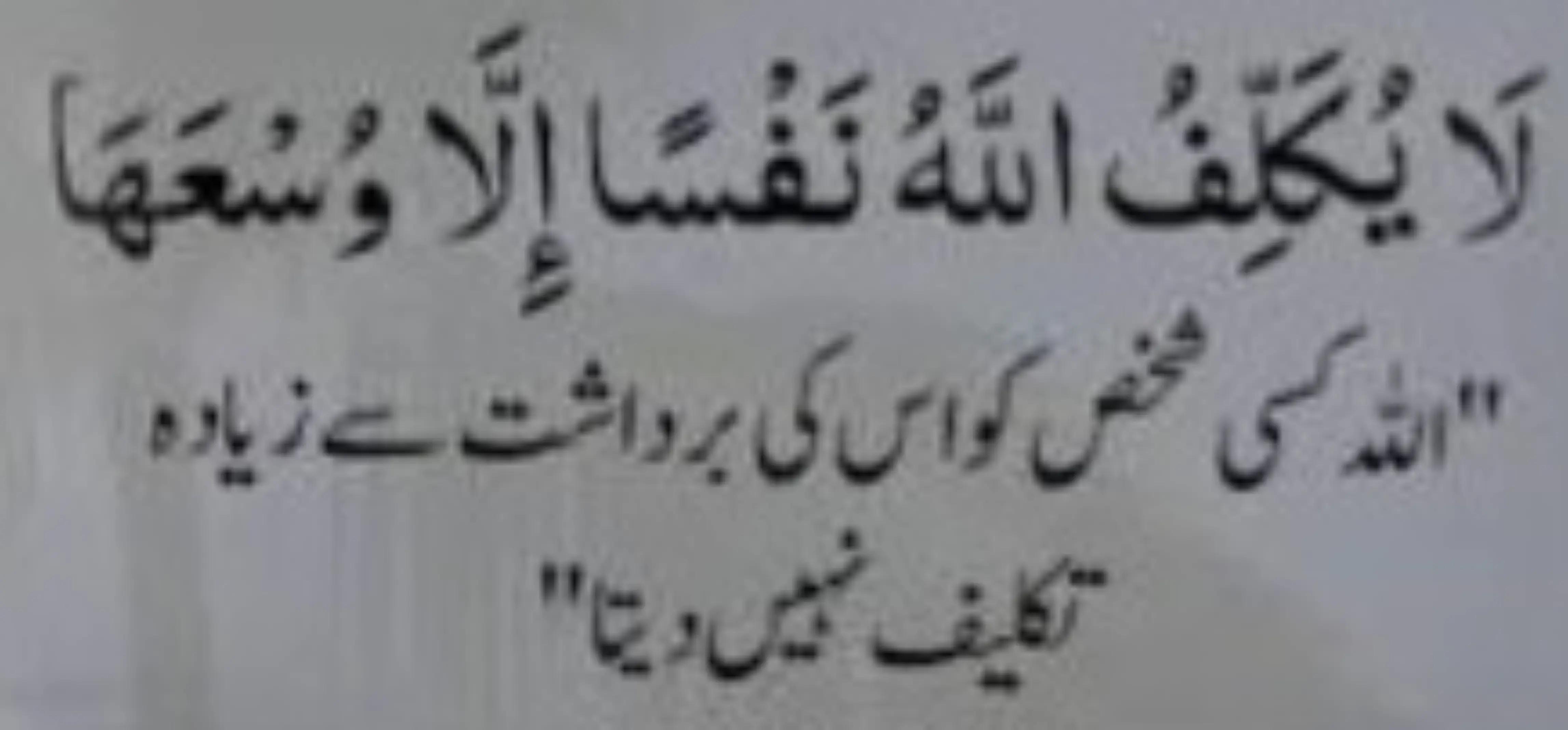 @Dr Neelum Nawaz