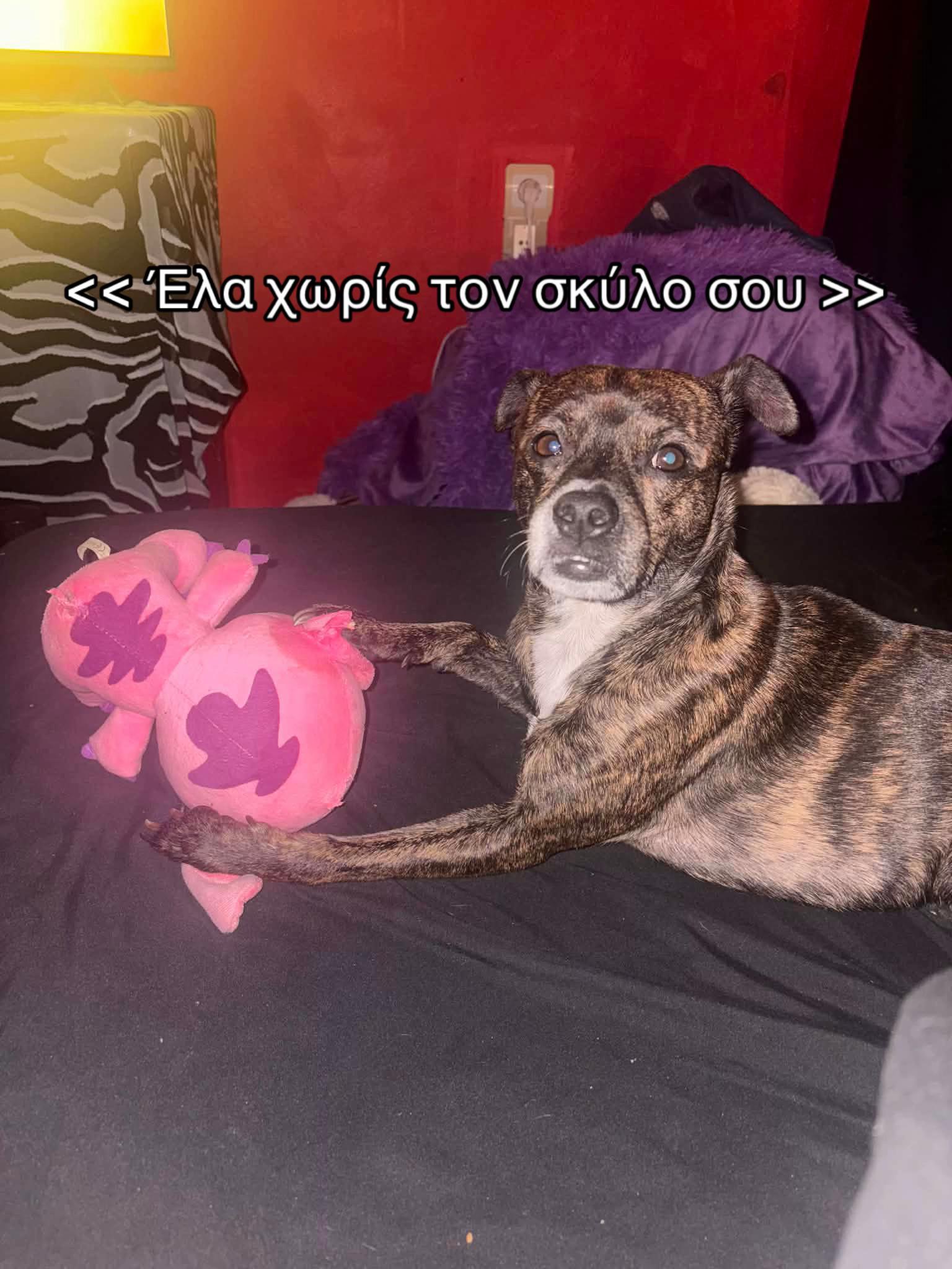 @&bull;&Ntilde;&aring;ł&uuml;&uuml;&uuml;&bull;Ł&uuml;&ntilde;&aring;&scaron;&scaron;&Scaron;&bull;