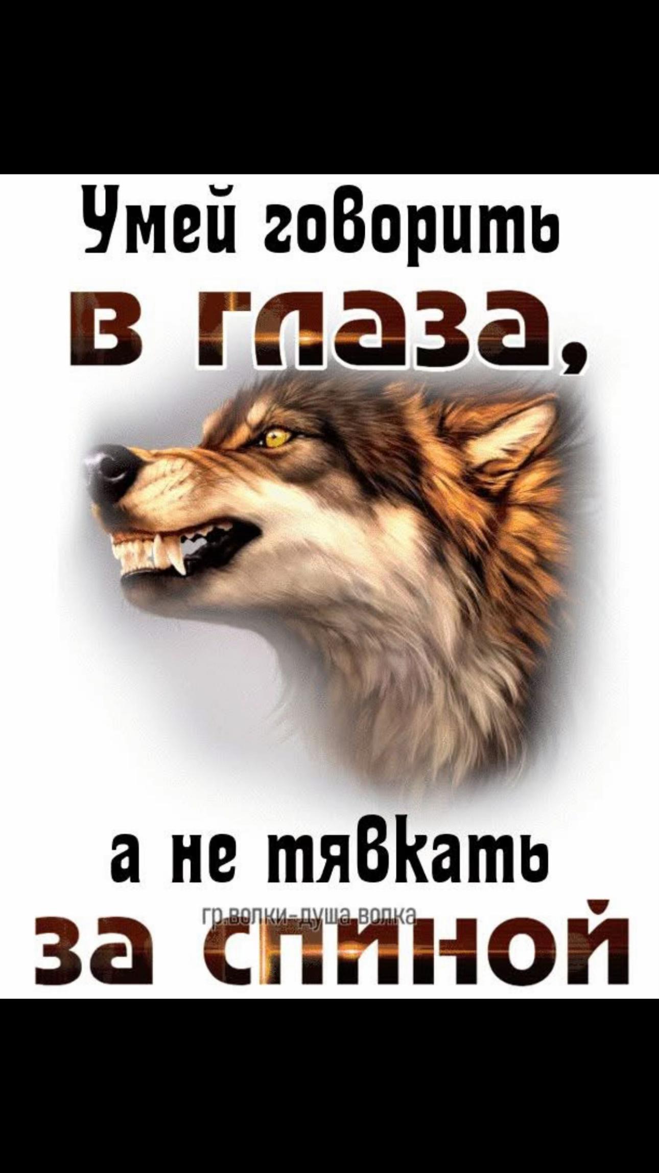 @🫵VAXA 💪