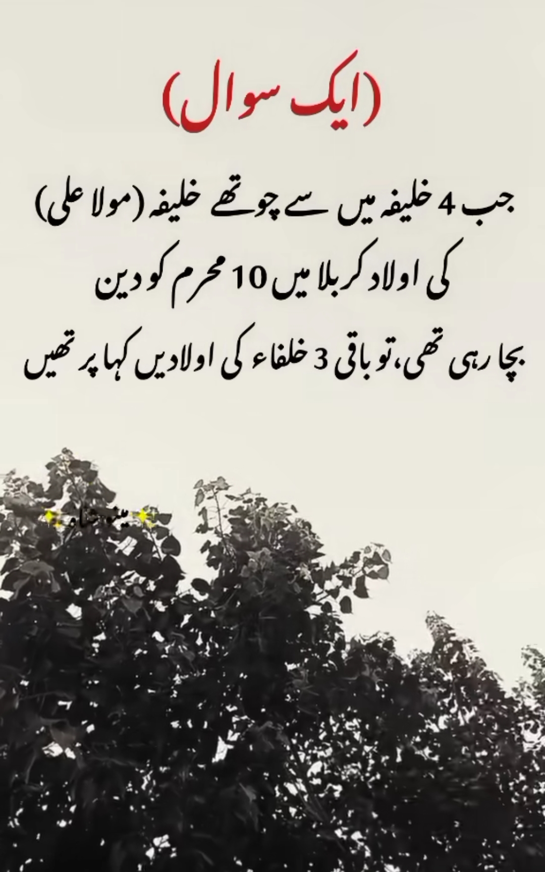 @HAIDER 07