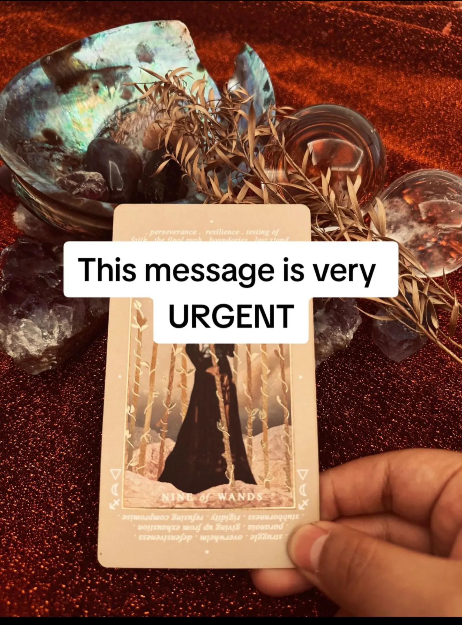 @ROSA🔮