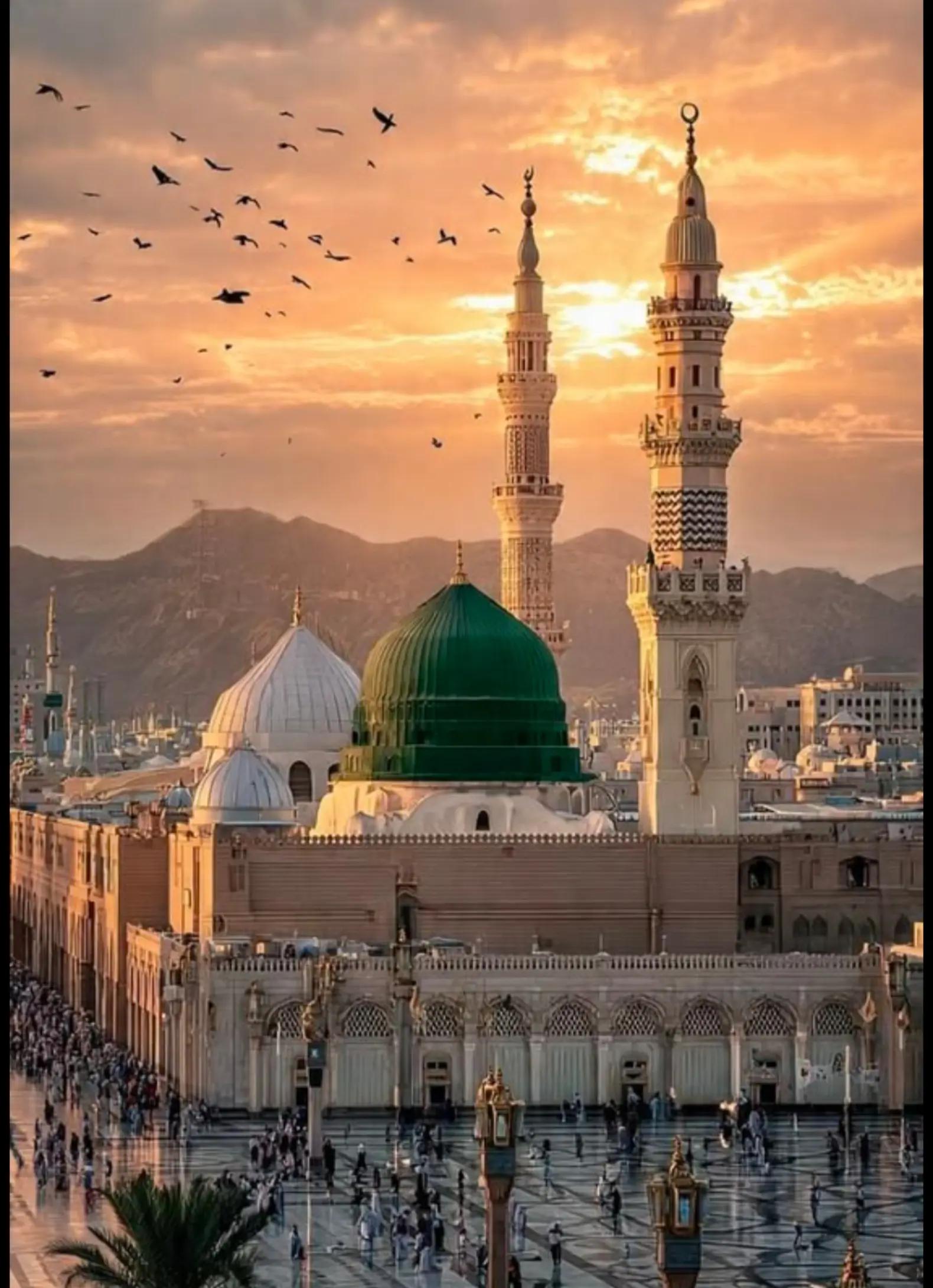 @☝️🥺🤍`&deg;جانم محمدﷺ &deg;`💚🥺🙌