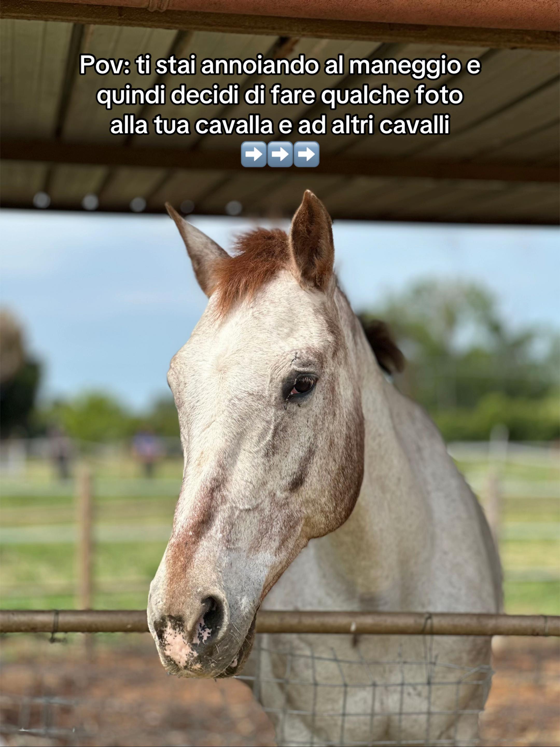 @Giulia Parroni