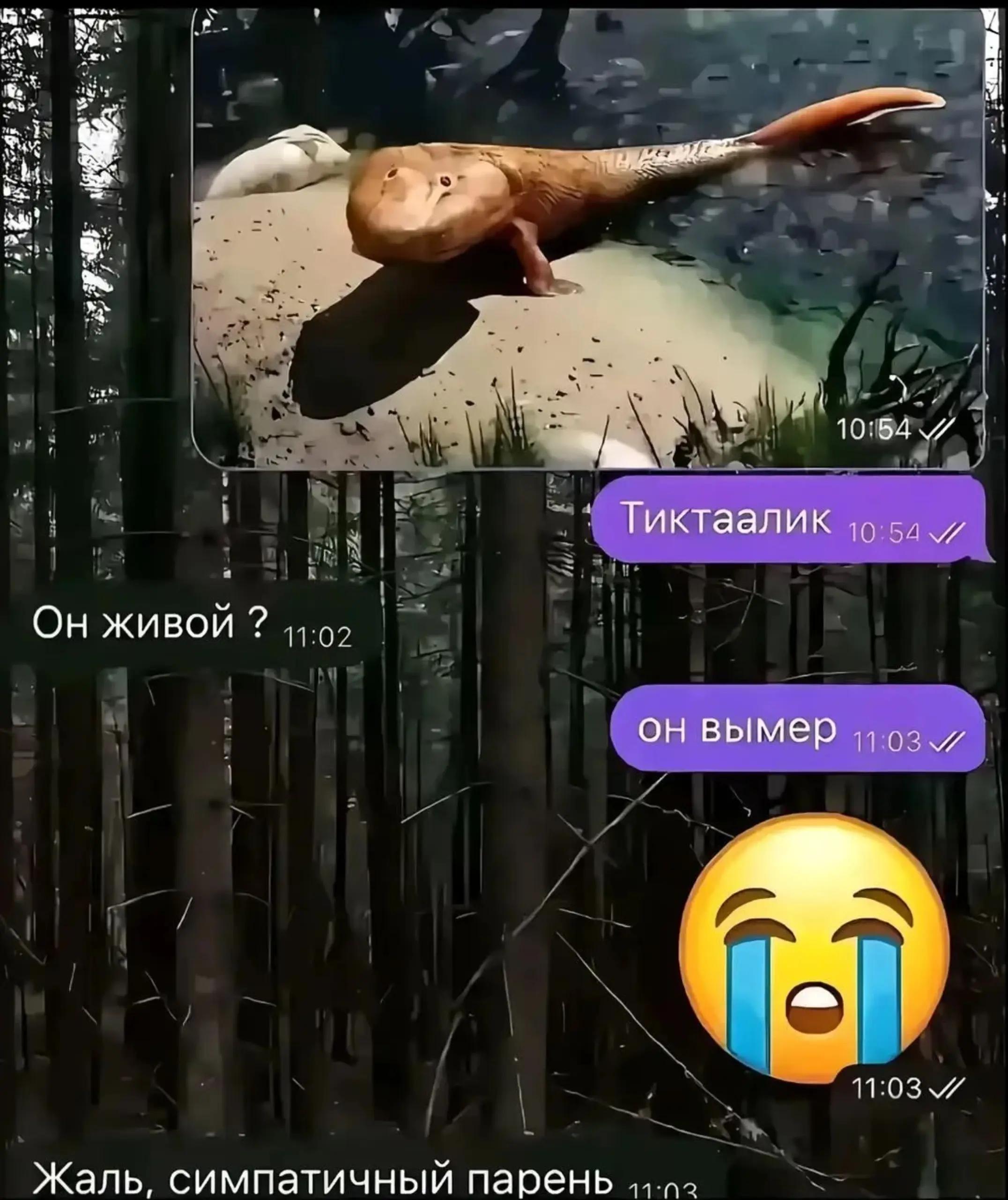 @фликсов