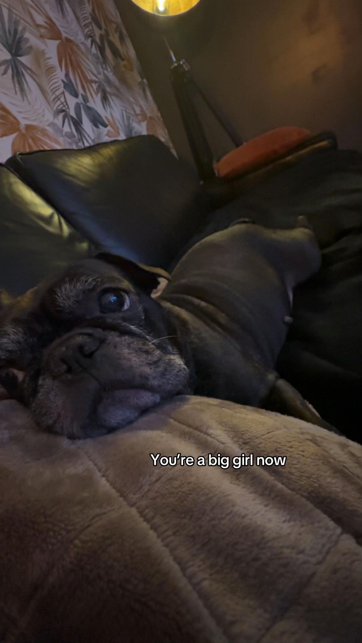 @angel