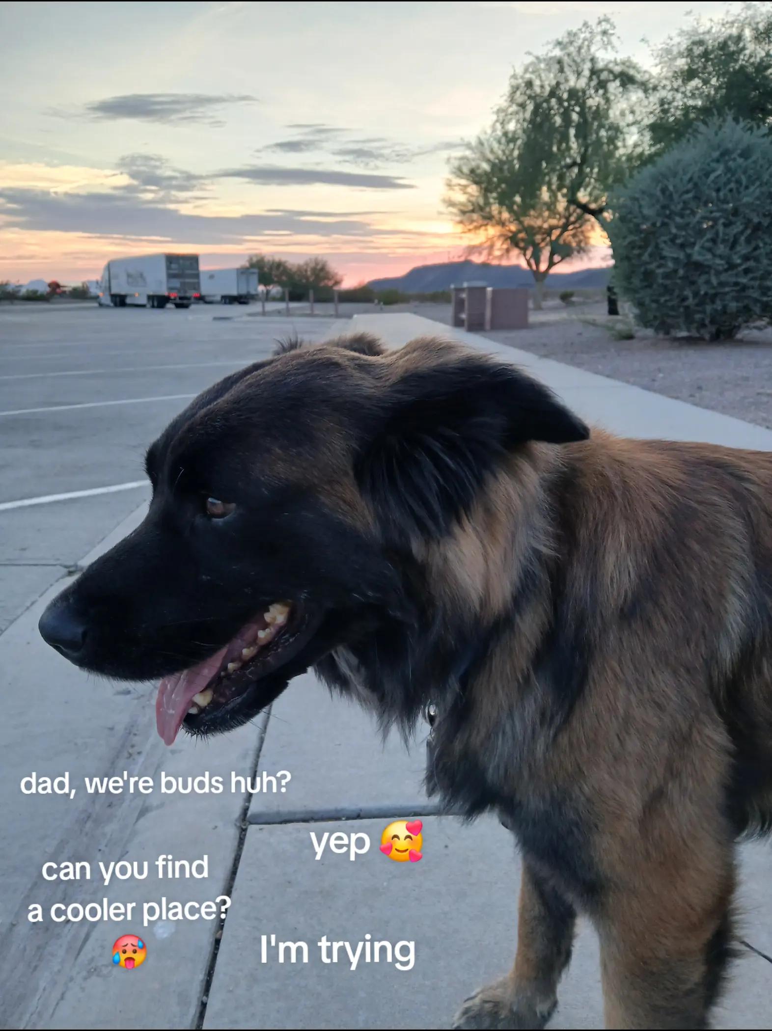 @trucker John