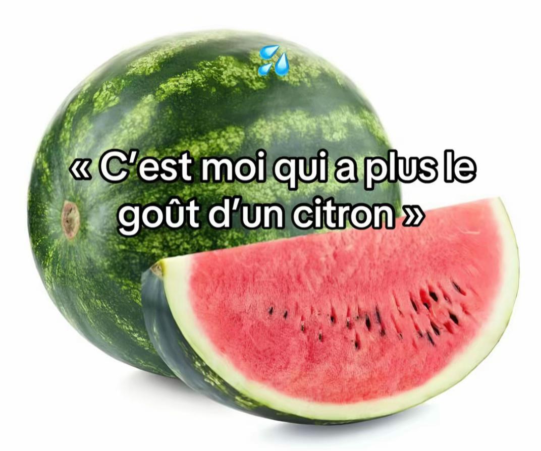 @azizbb
