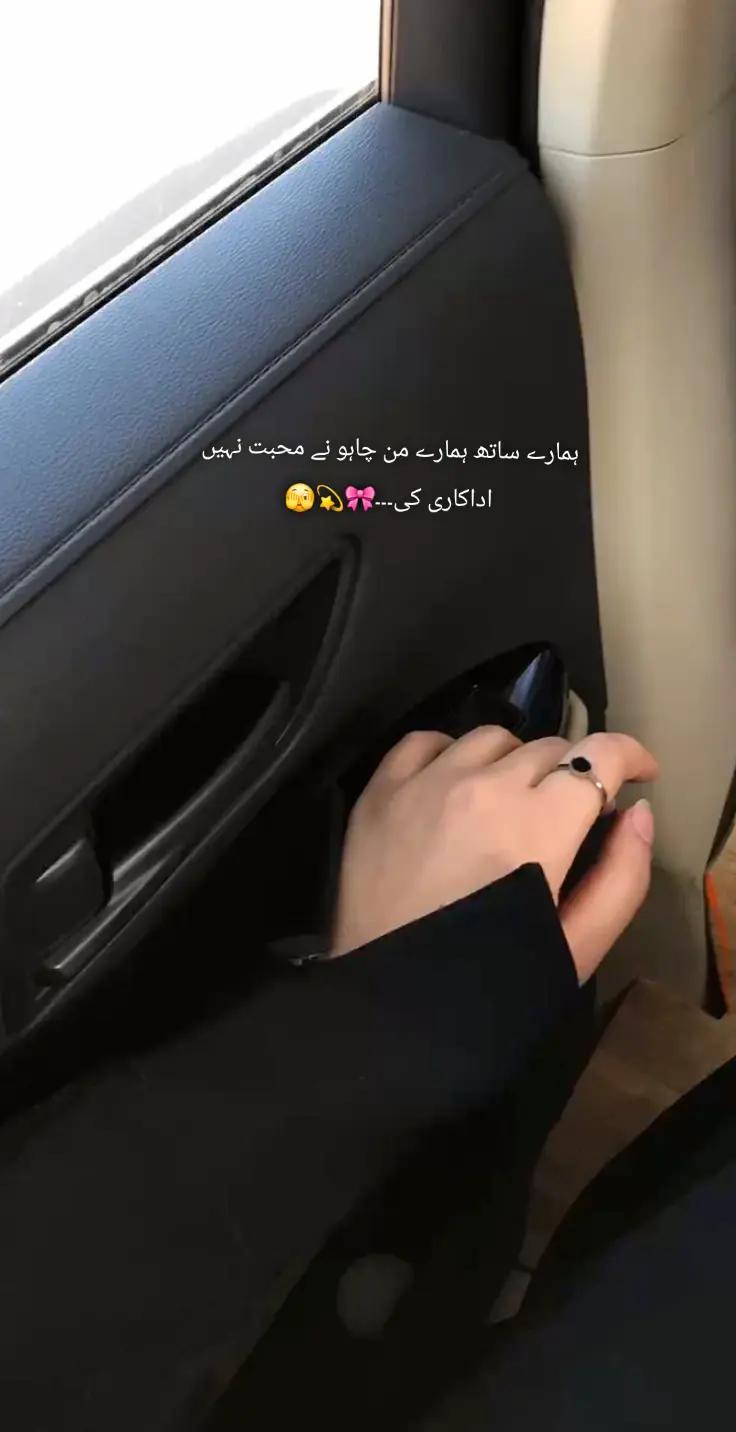 @𝐀ᴘᴇx°