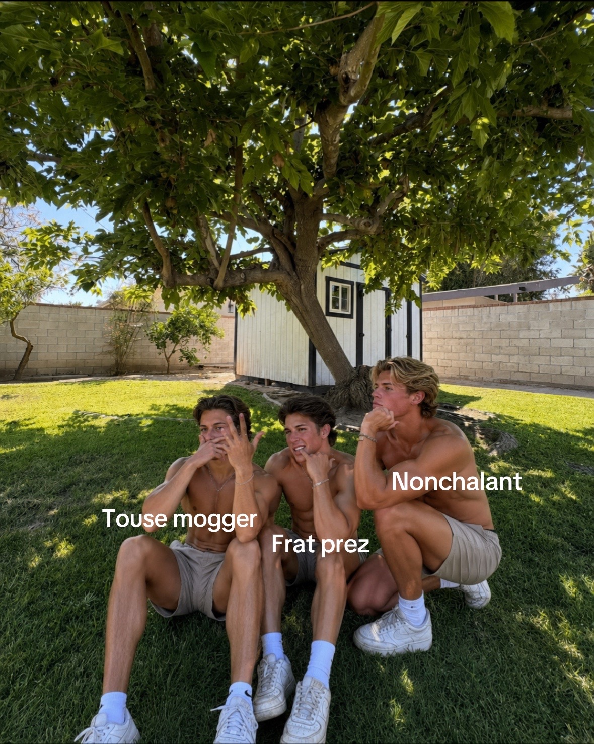 @annie