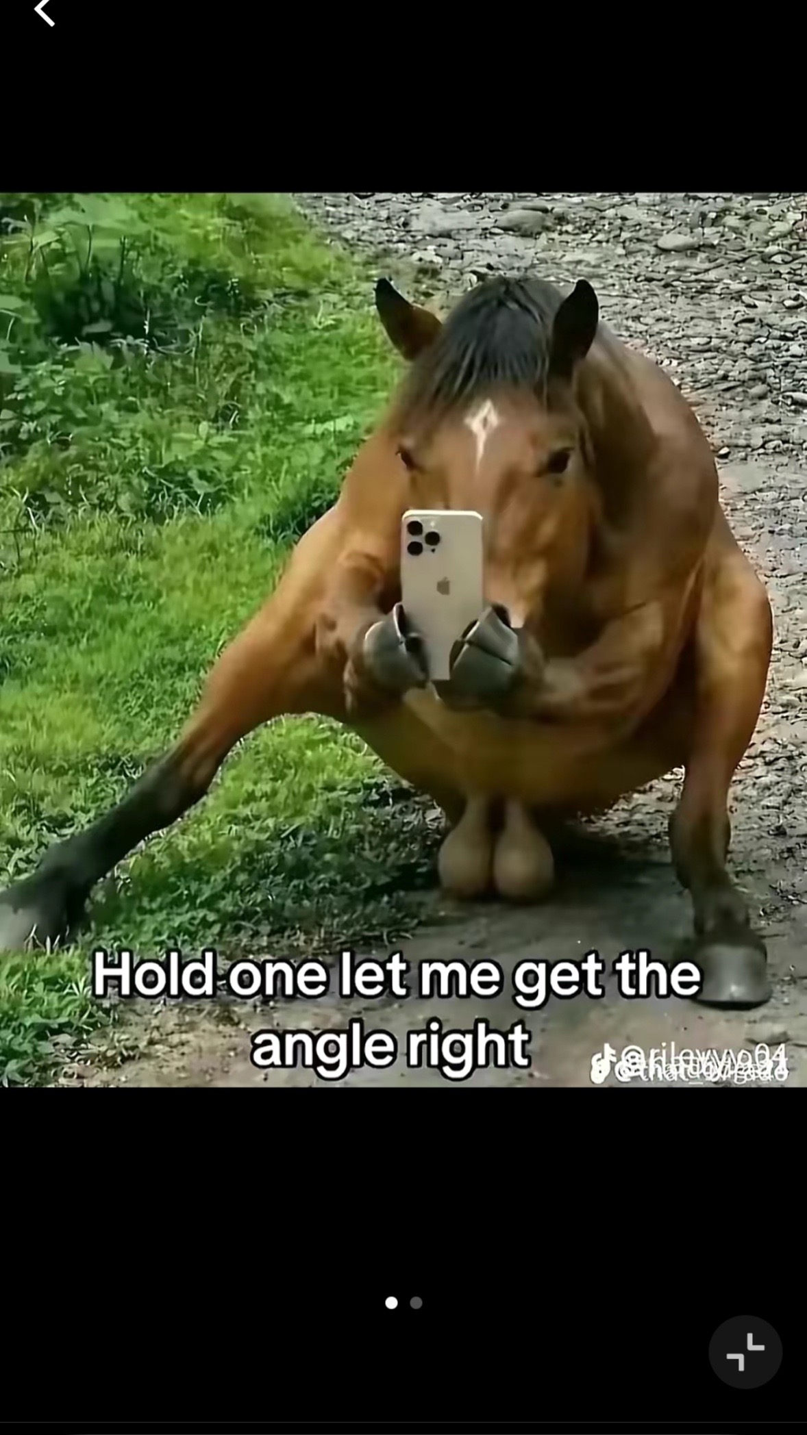 @robertseven3