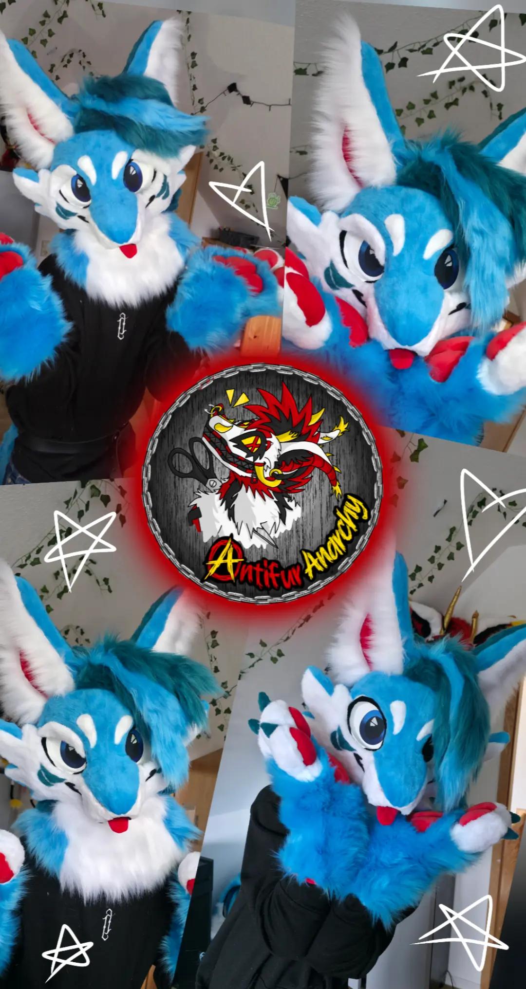 @🌈Antifur Anarchy🚨