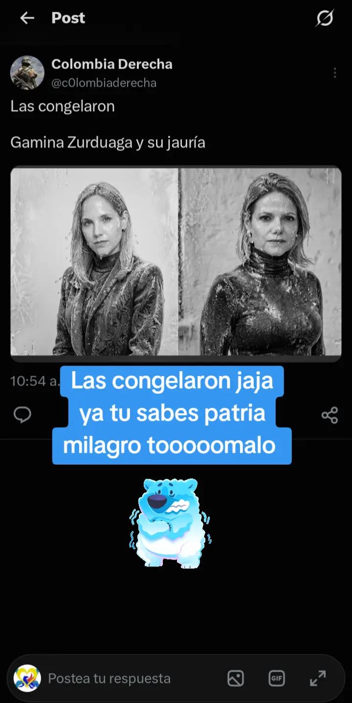@Noticias zorrito