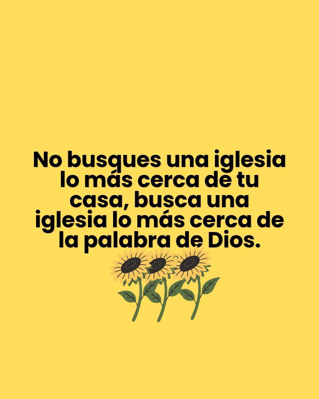@Arely Quintana