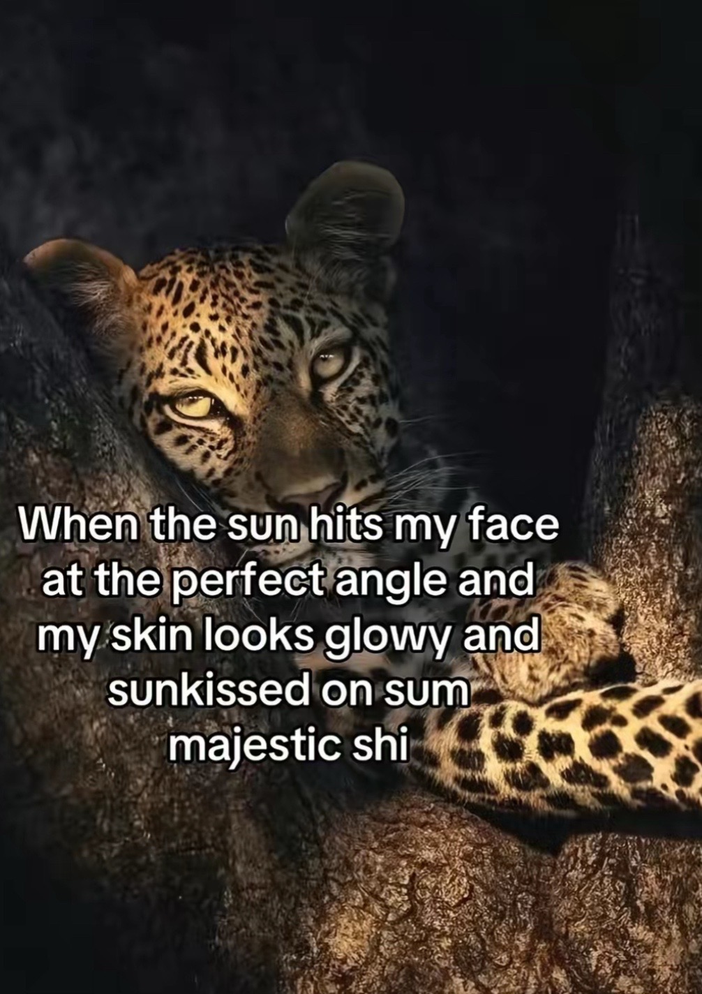 @HAYLEE๐ง๐พโ๏ธ๐๐โ๐ฝ