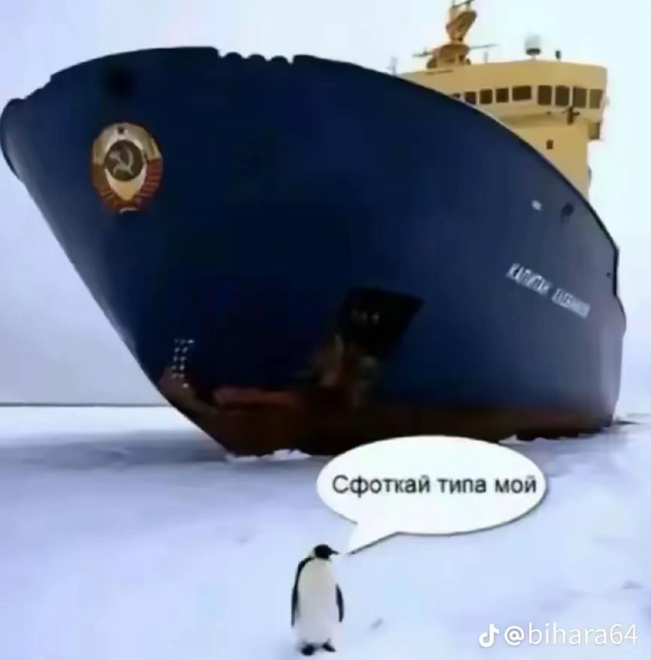 @тгк-stayzer88