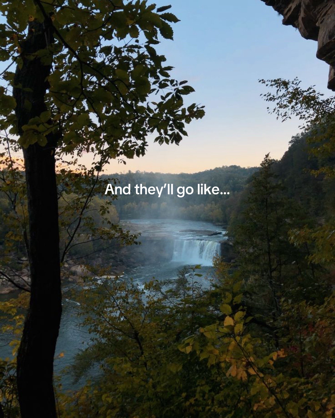 @kentuckykountryvibes