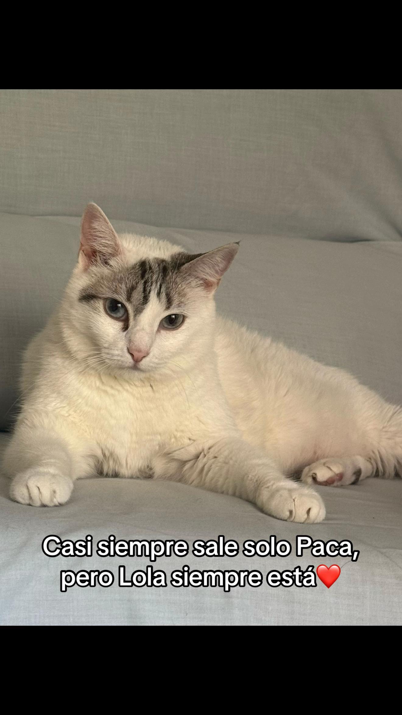 @morci_ypunto