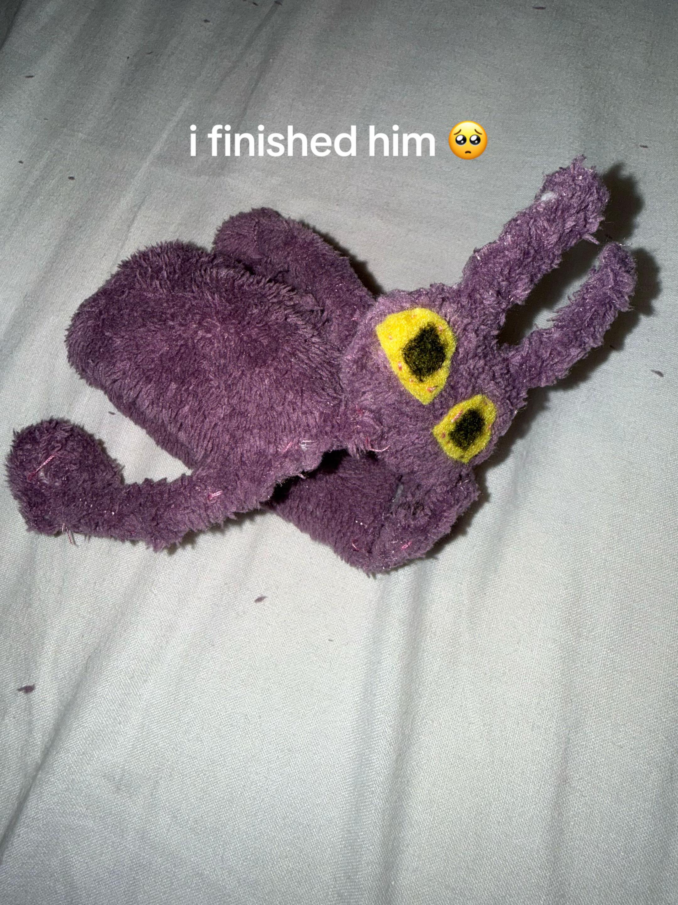 @˖ ࣪⊹