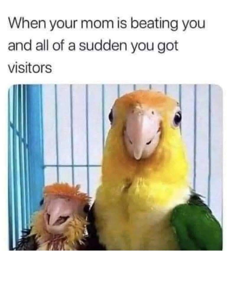 @Leni