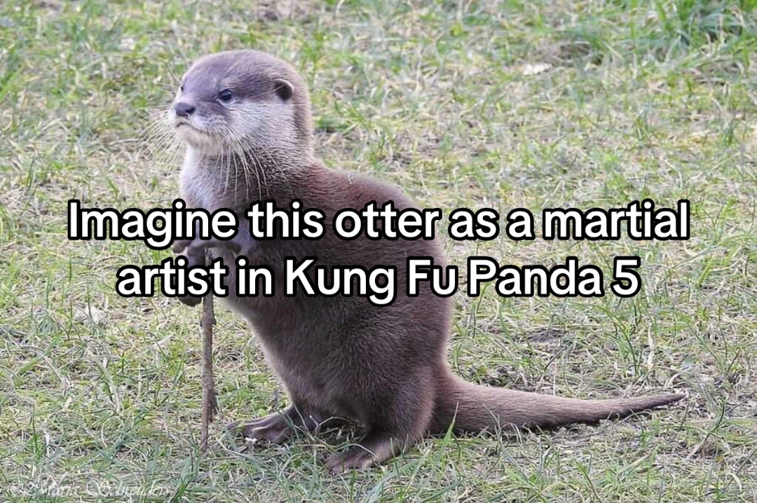 @Brad Ganier