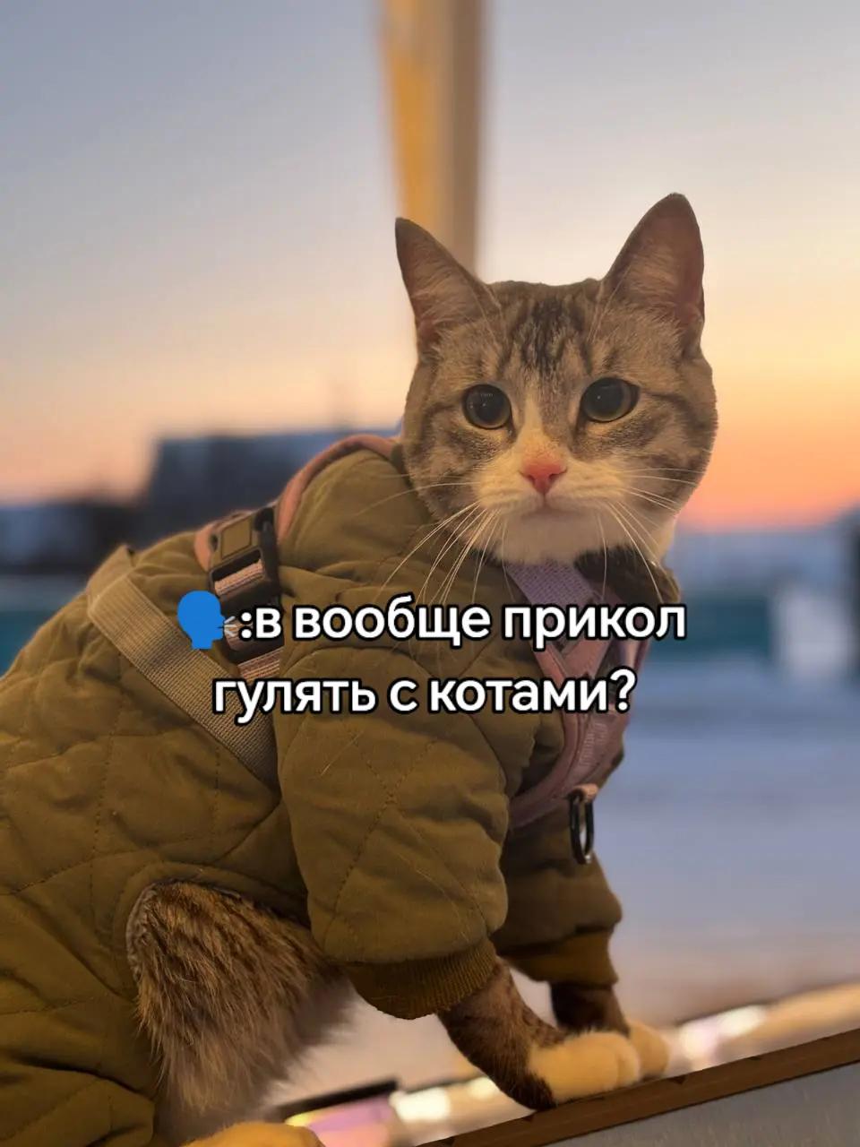 @🩸маньячка🩸