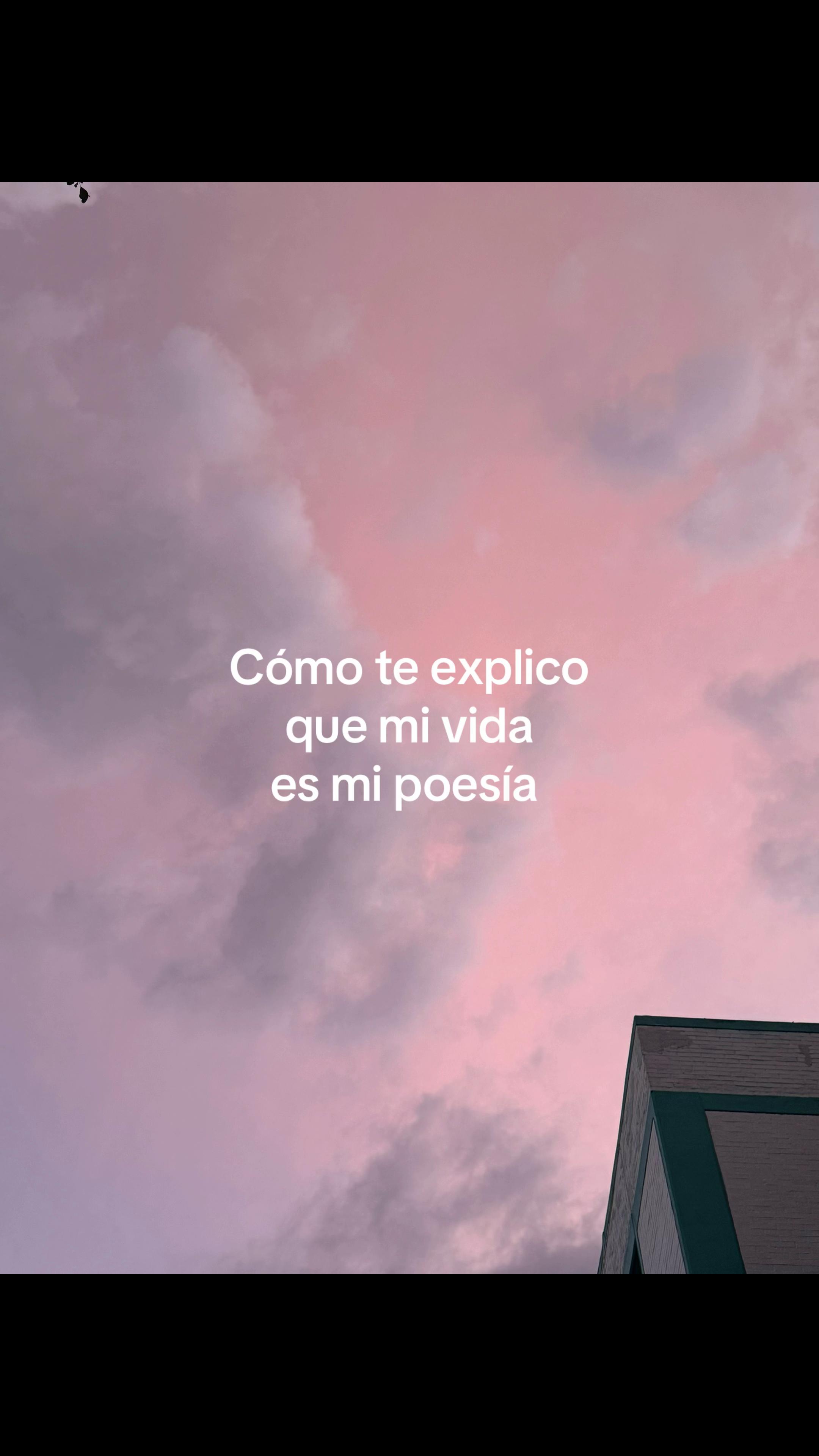 @Darcy🫧🫧