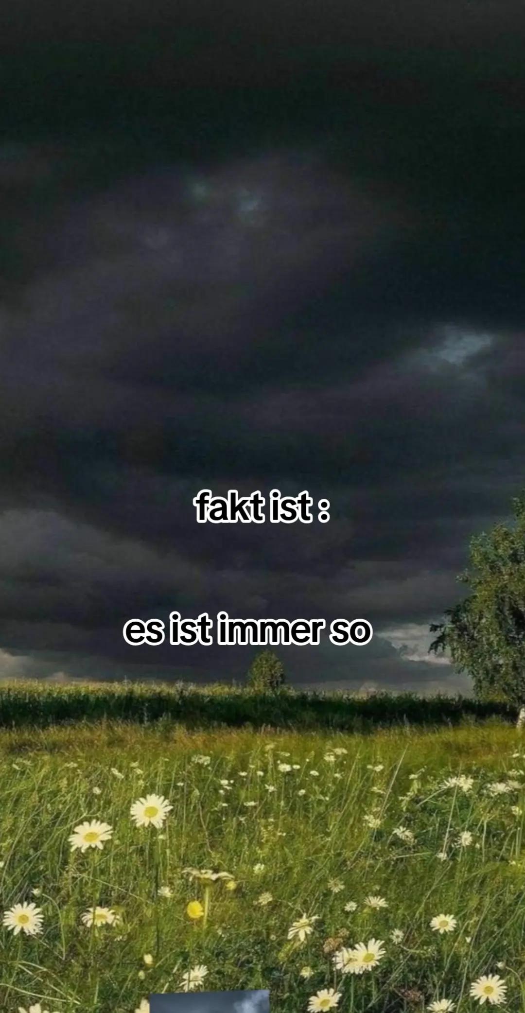 @Mäusen