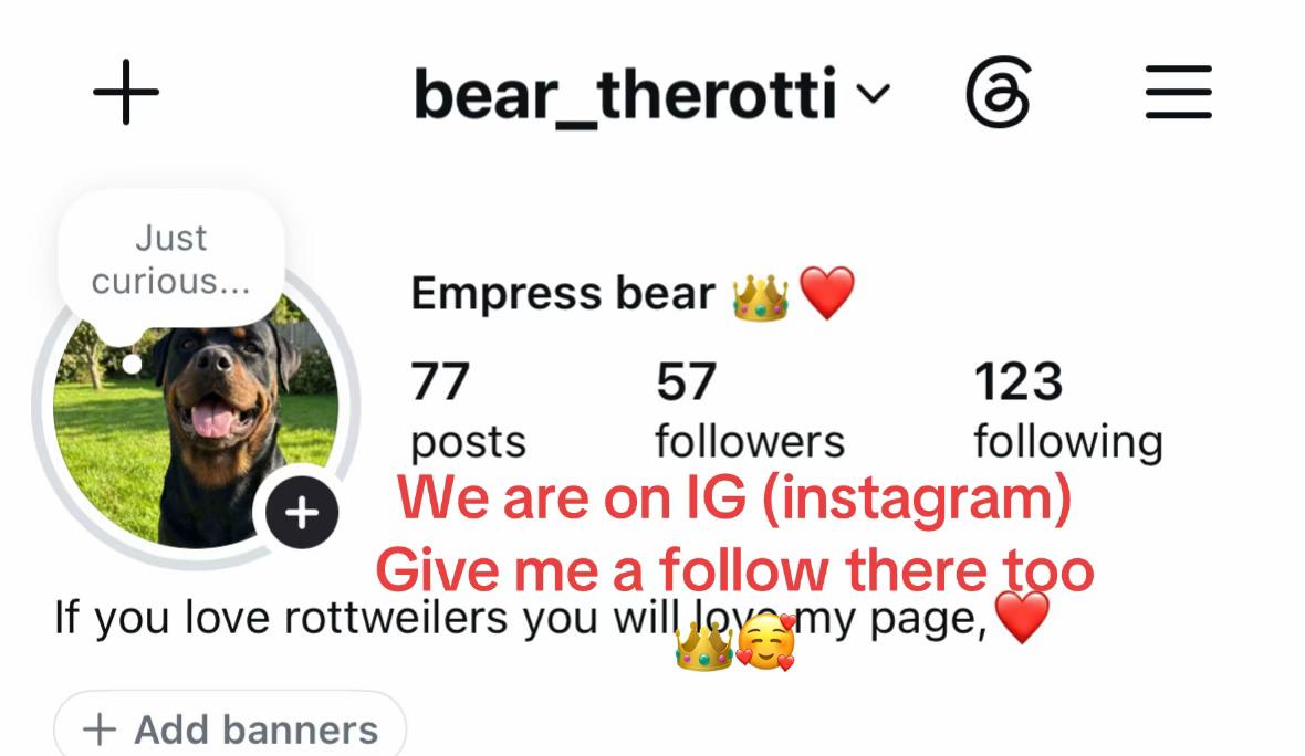 @Empress bear ❤️